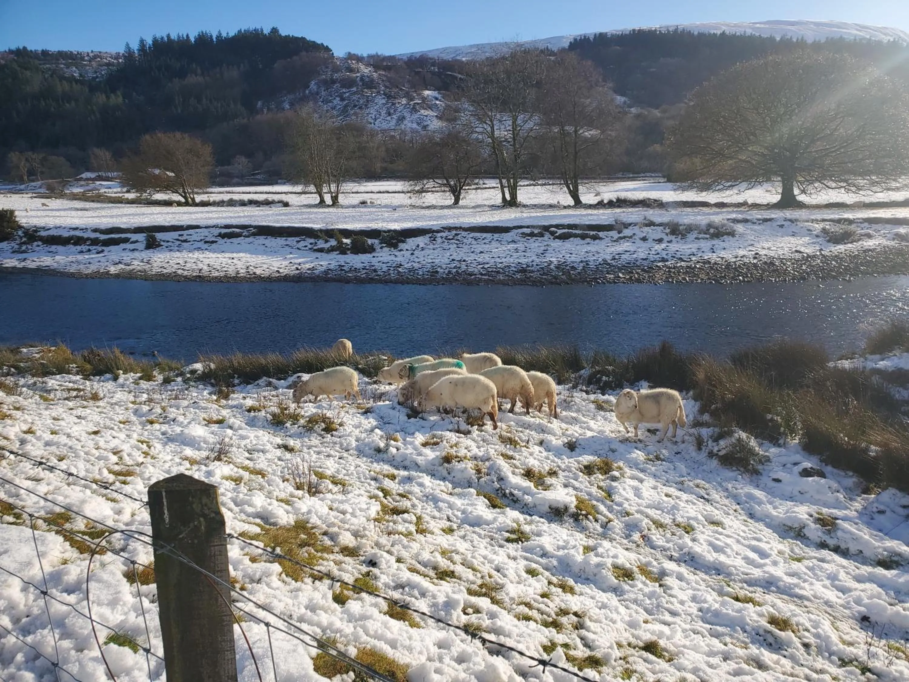 Winter in Ty Capel Isa