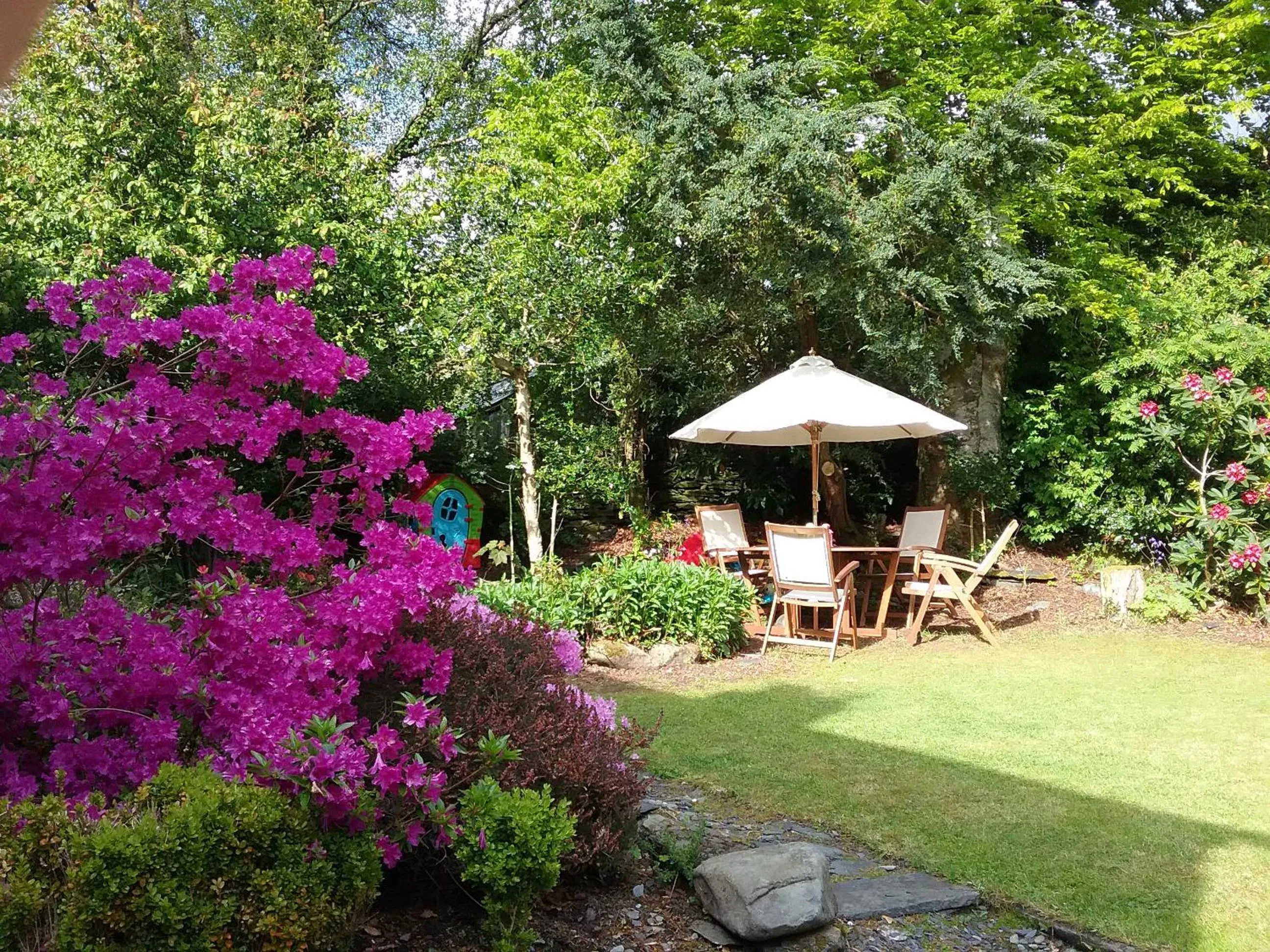 Garden in Ty Capel Isa