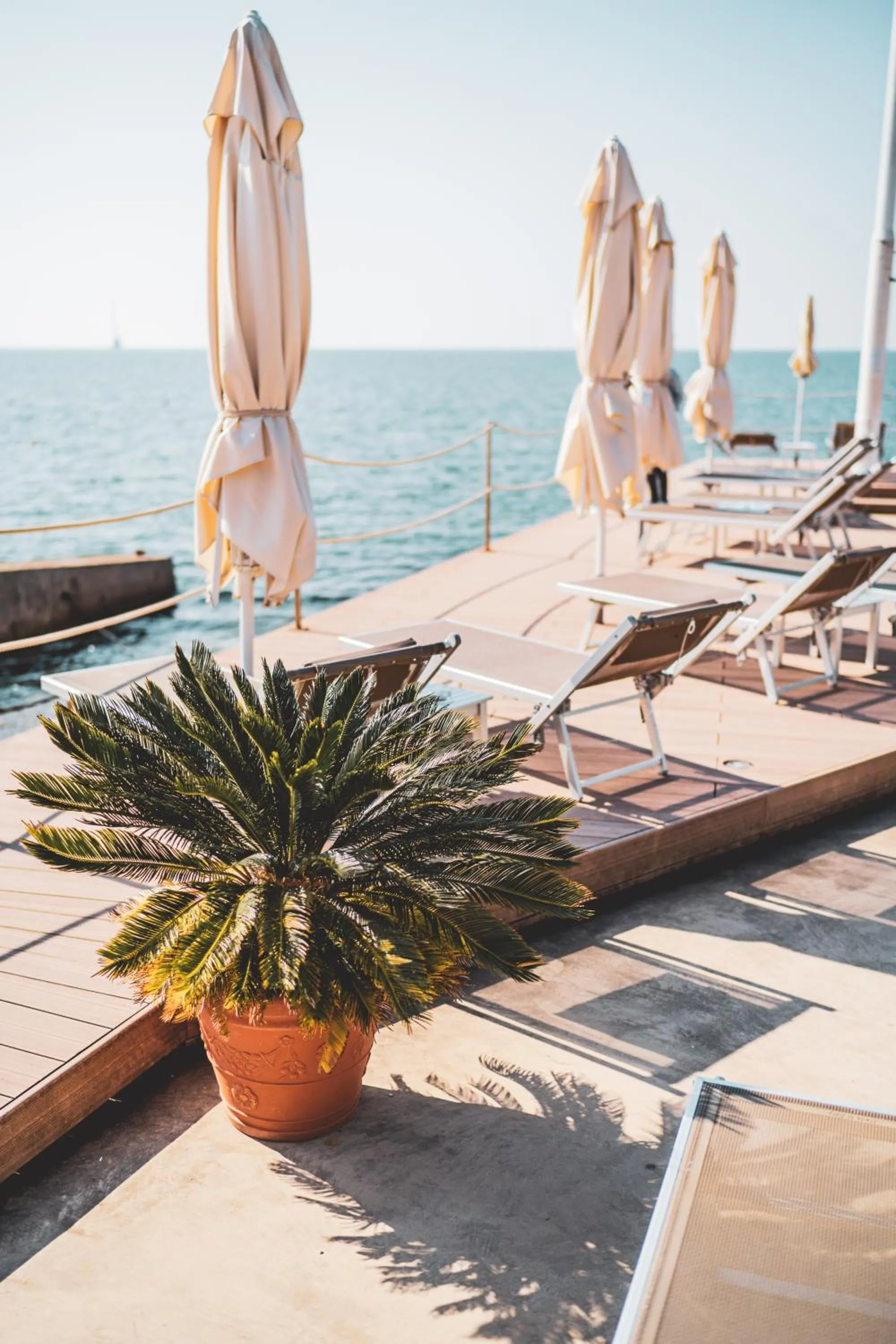 Balcony/Terrace in Tre Merli Beach Hotel