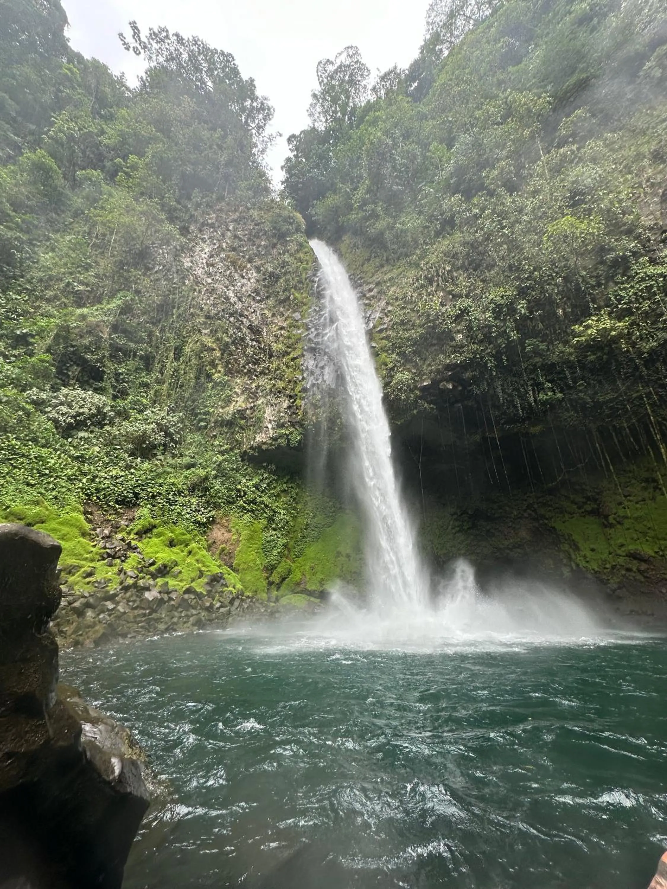 Natural landscape in Viajero La Fortuna Hostel