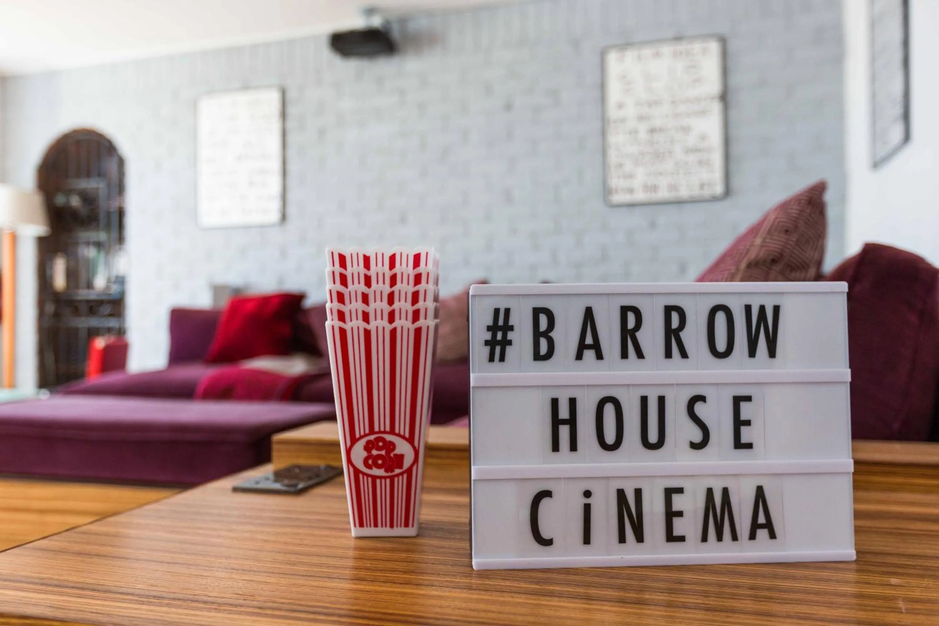 TV and multimedia in Barrow House