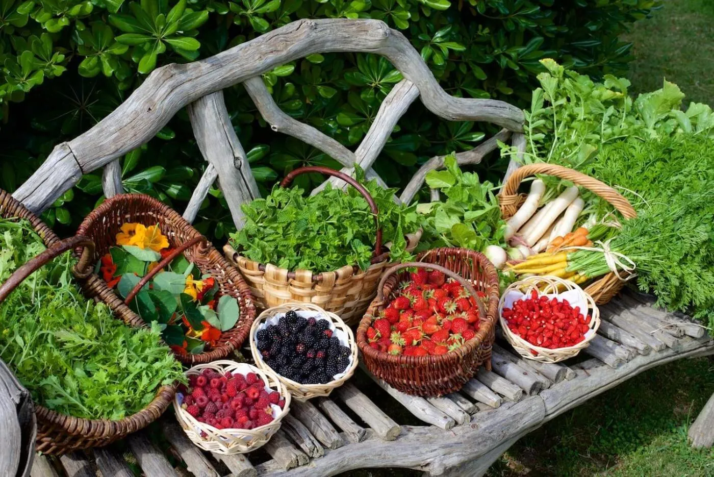 Garden in Grand Hôtel De Cala Rossa & Spa Nucca