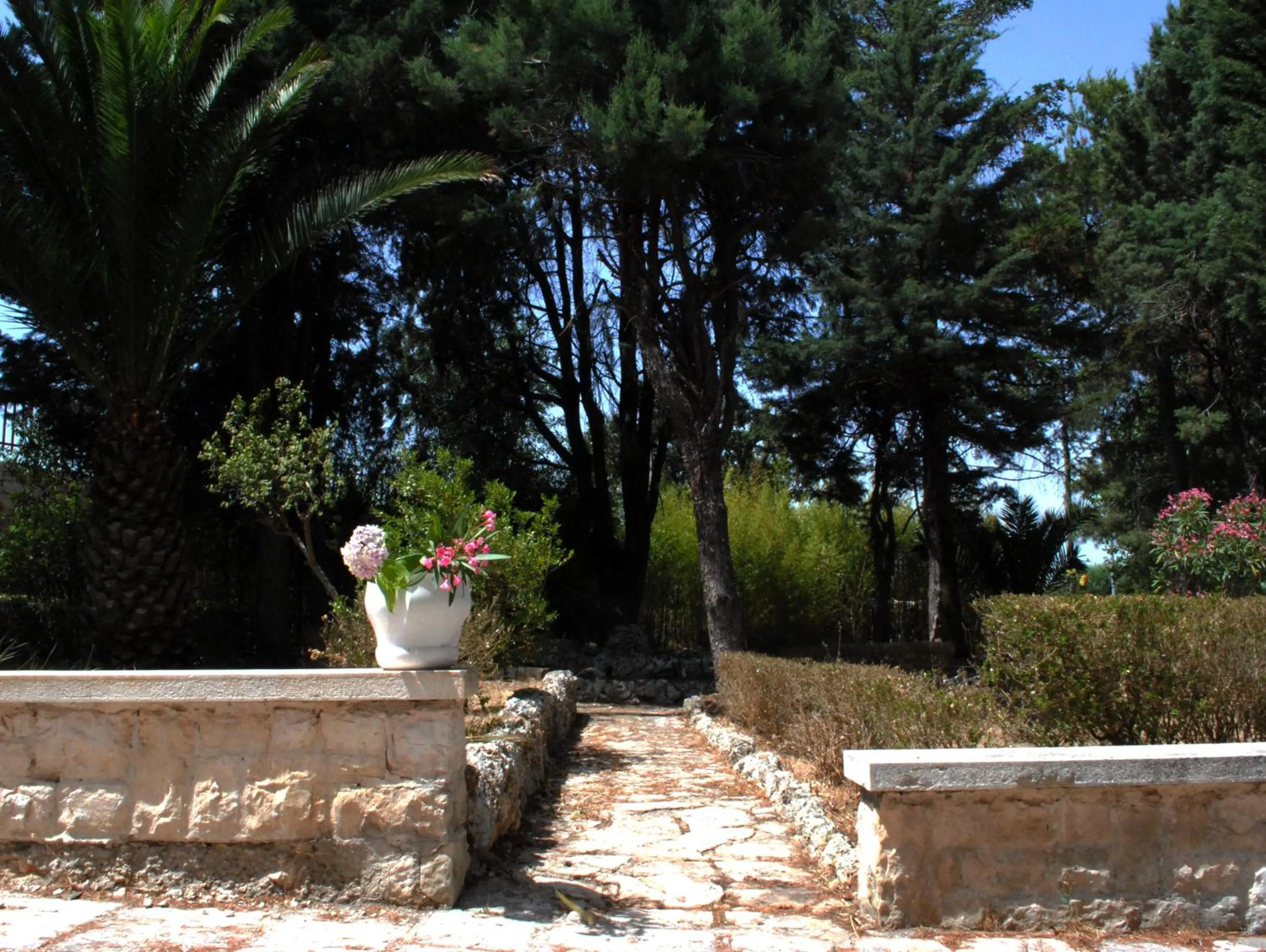 Garden in Dimora Romano