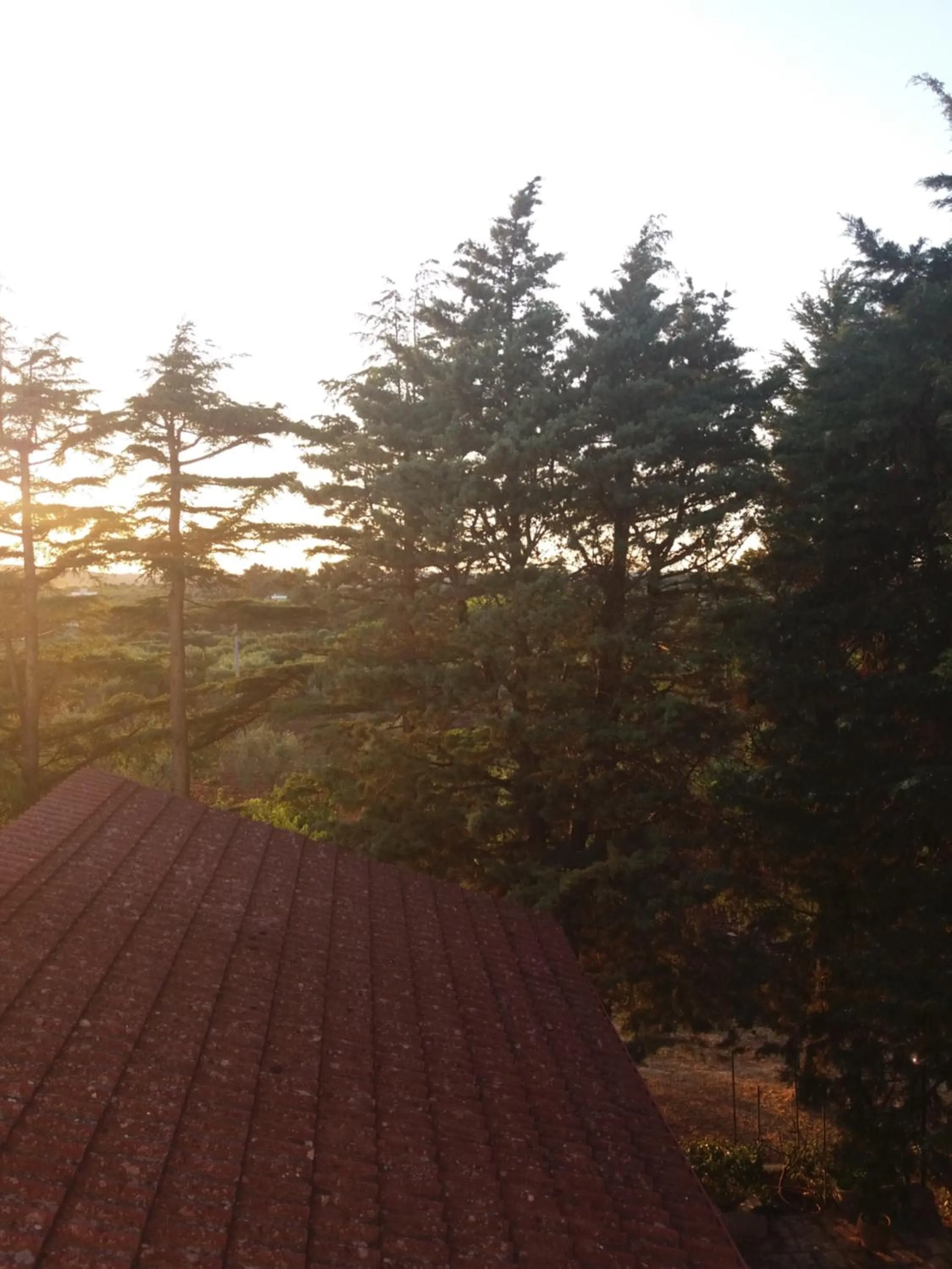 View (from property/room) in Dimora Romano