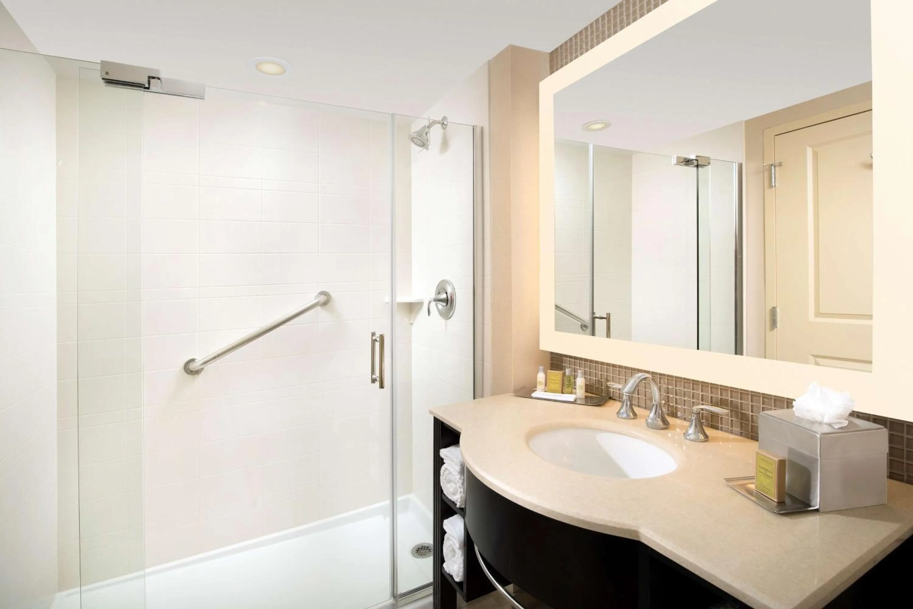 Bathroom in DoubleTree by Hilton Dulles Airport-Sterling