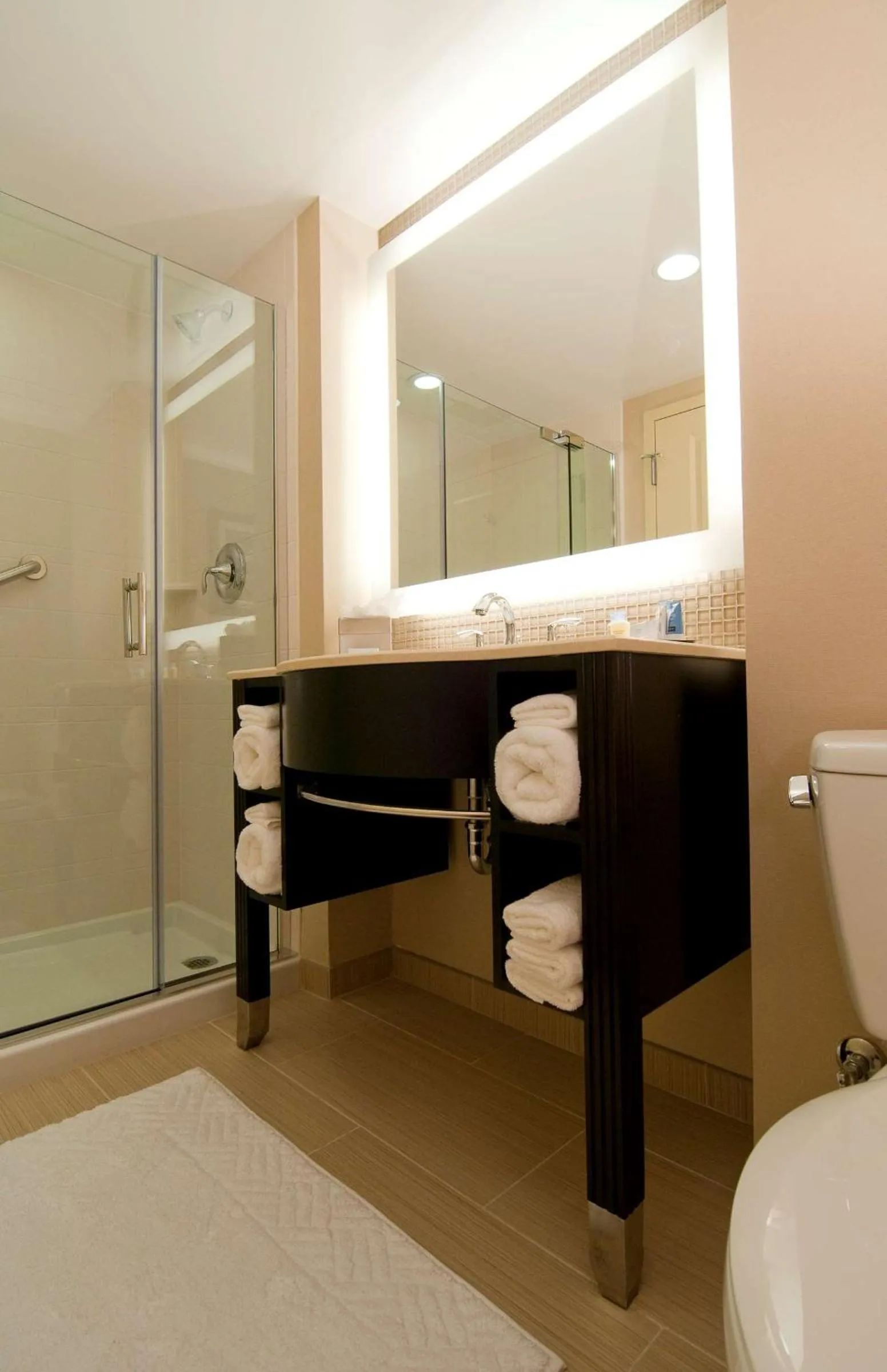 Bathroom in DoubleTree by Hilton Dulles Airport-Sterling