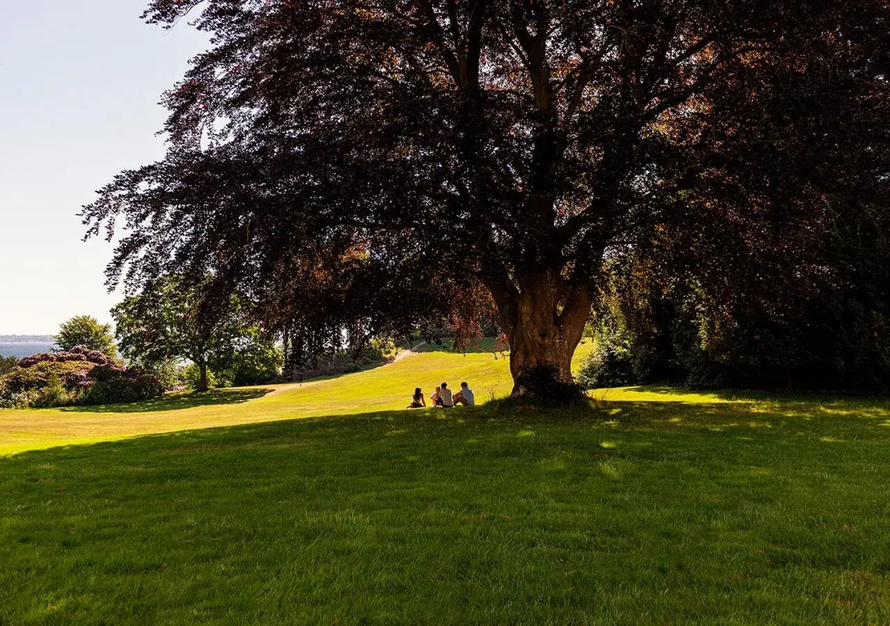 Deluxe Twin Room in Konventum Conference Center Deluxe Twin Room in Konventum Conference Center