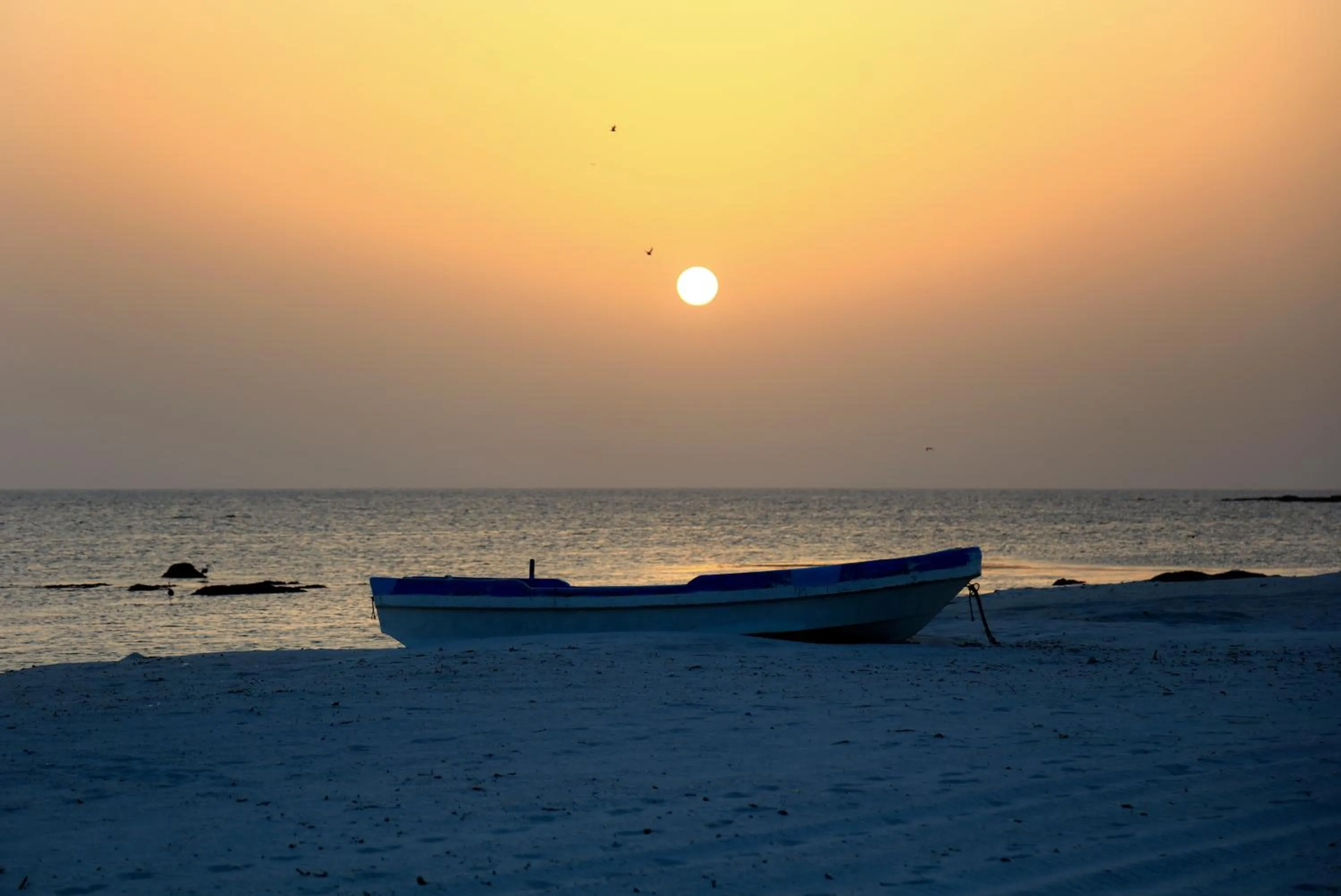 Natural landscape in Wyndham Garden Salalah Mirbat