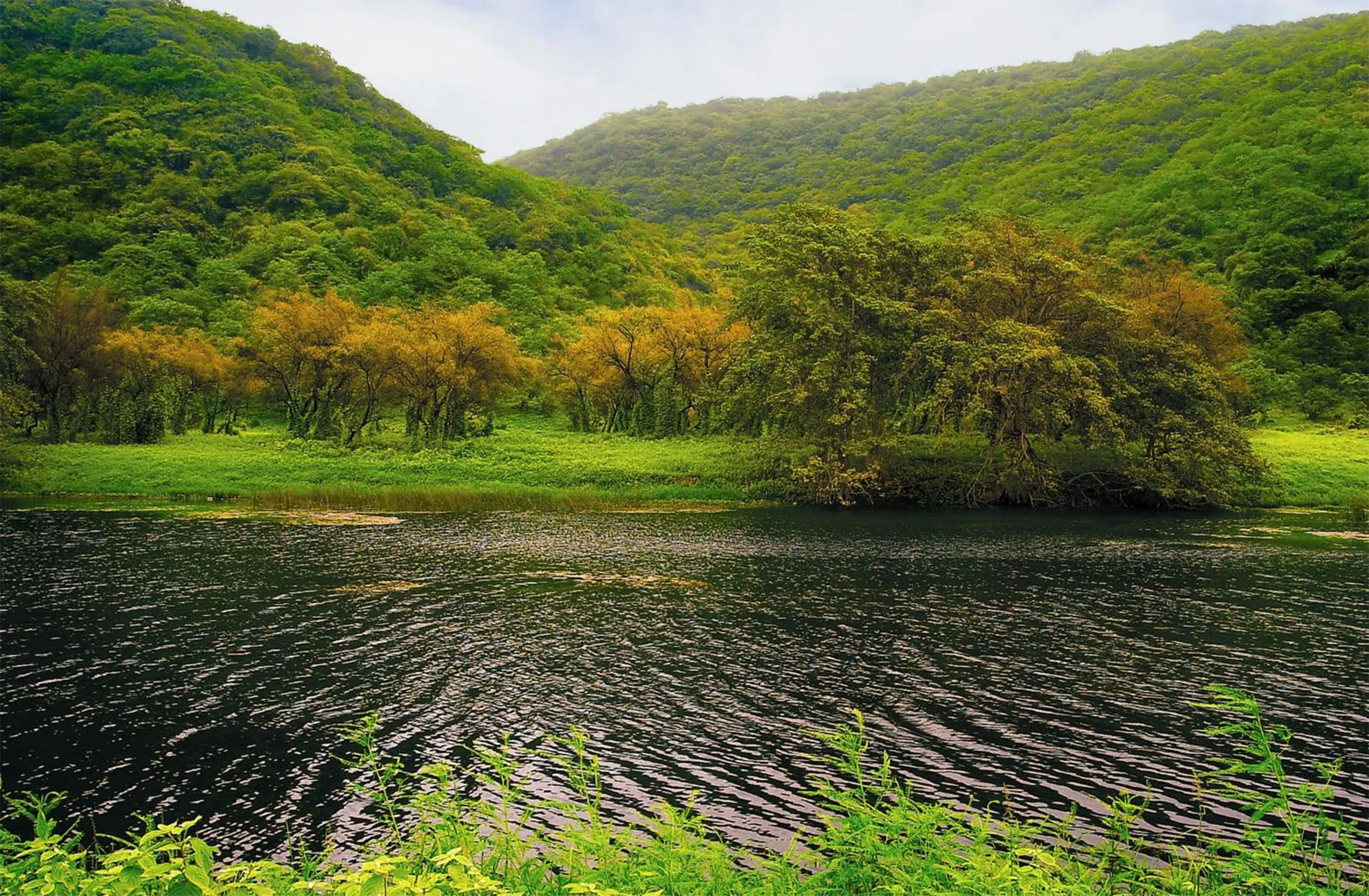 Off site in Wyndham Garden Salalah Mirbat