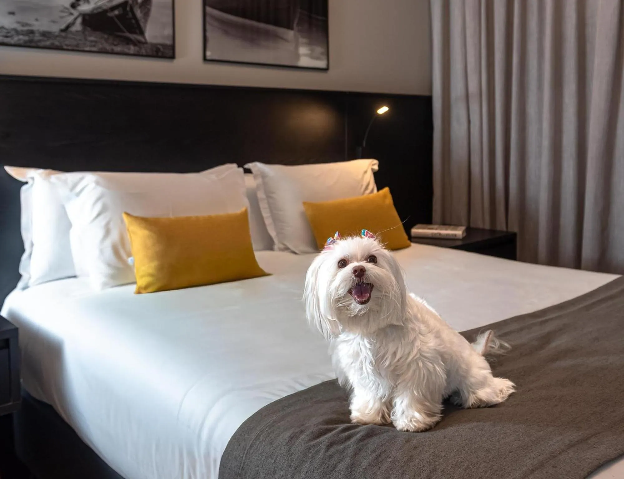 Bedroom, Bed in I am Design Hotel Campinas by Hotelaria Brasil