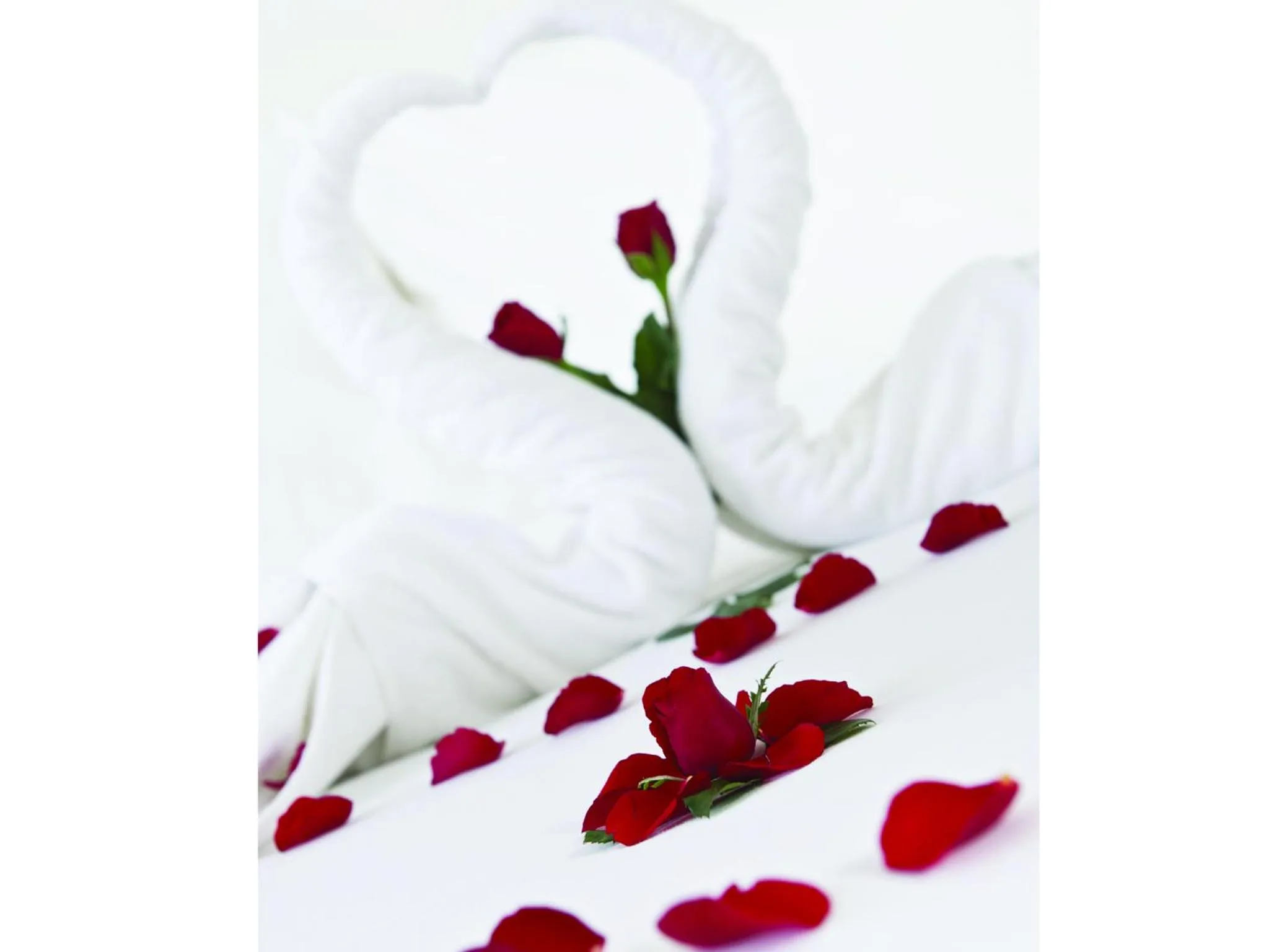 Bedroom in Cherish Hue Hotel