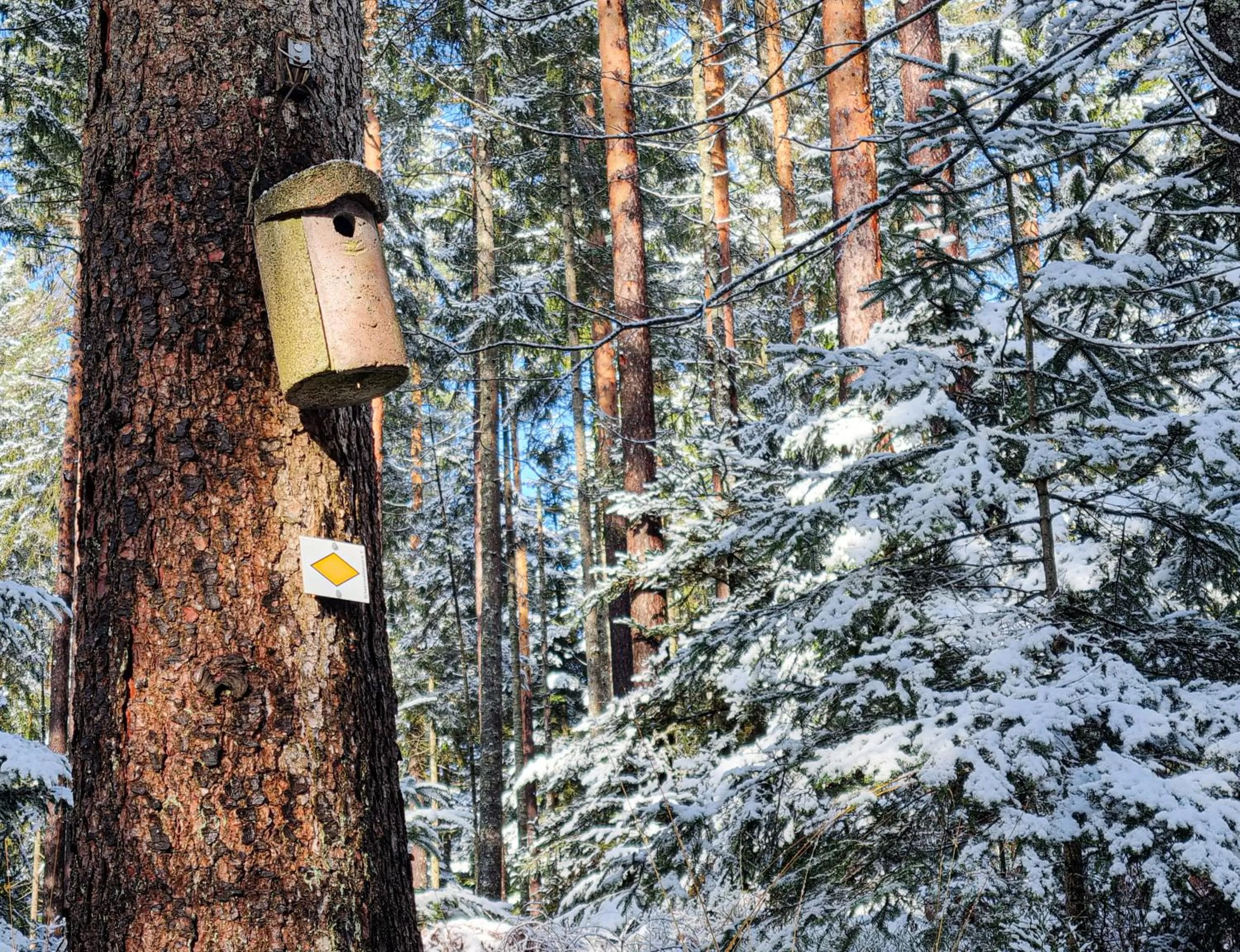 Hiking in Hotel Landhaus Waldesruh