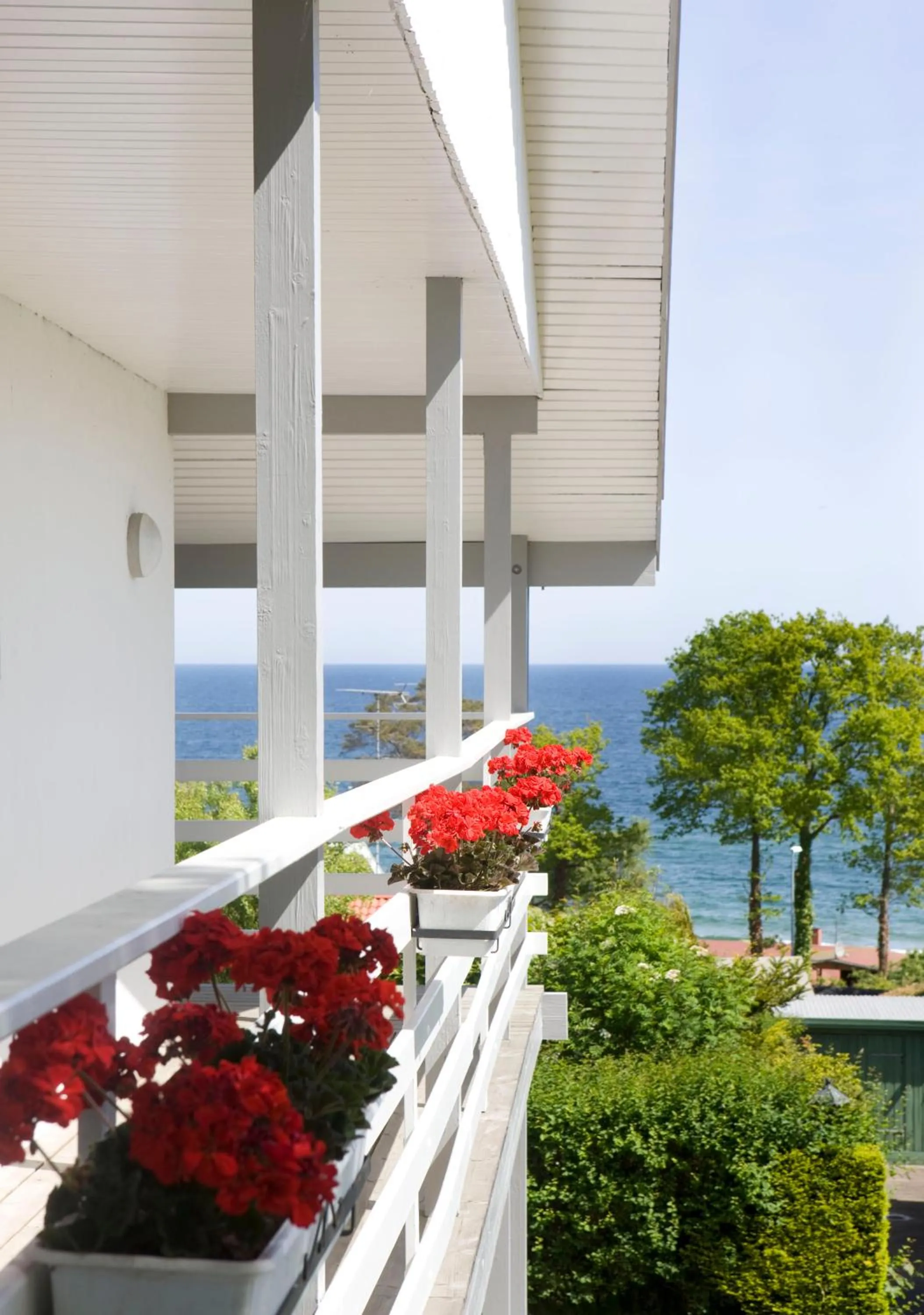 Natural landscape in Hotel Friheden