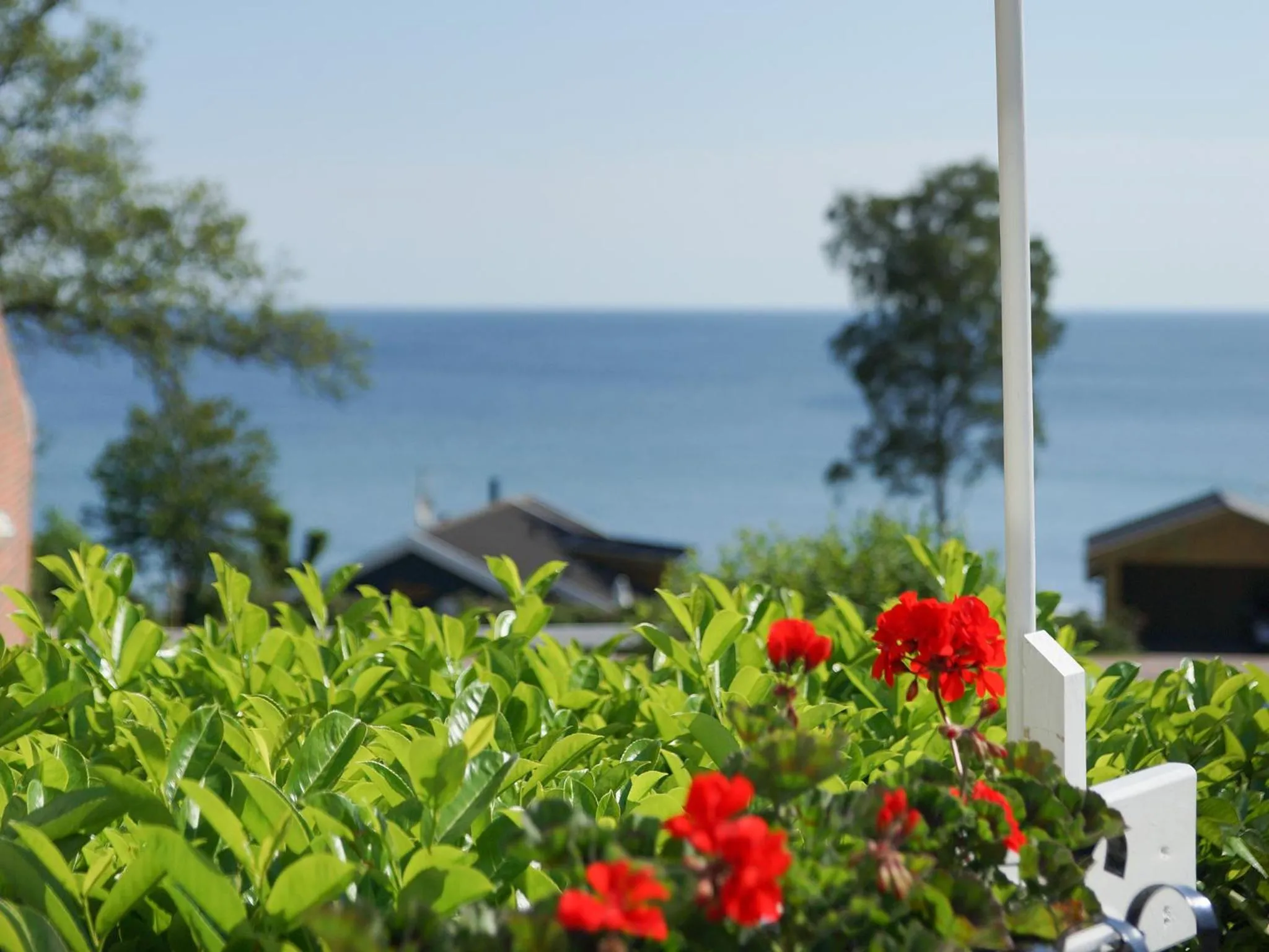View (from property/room) in Hotel Friheden
