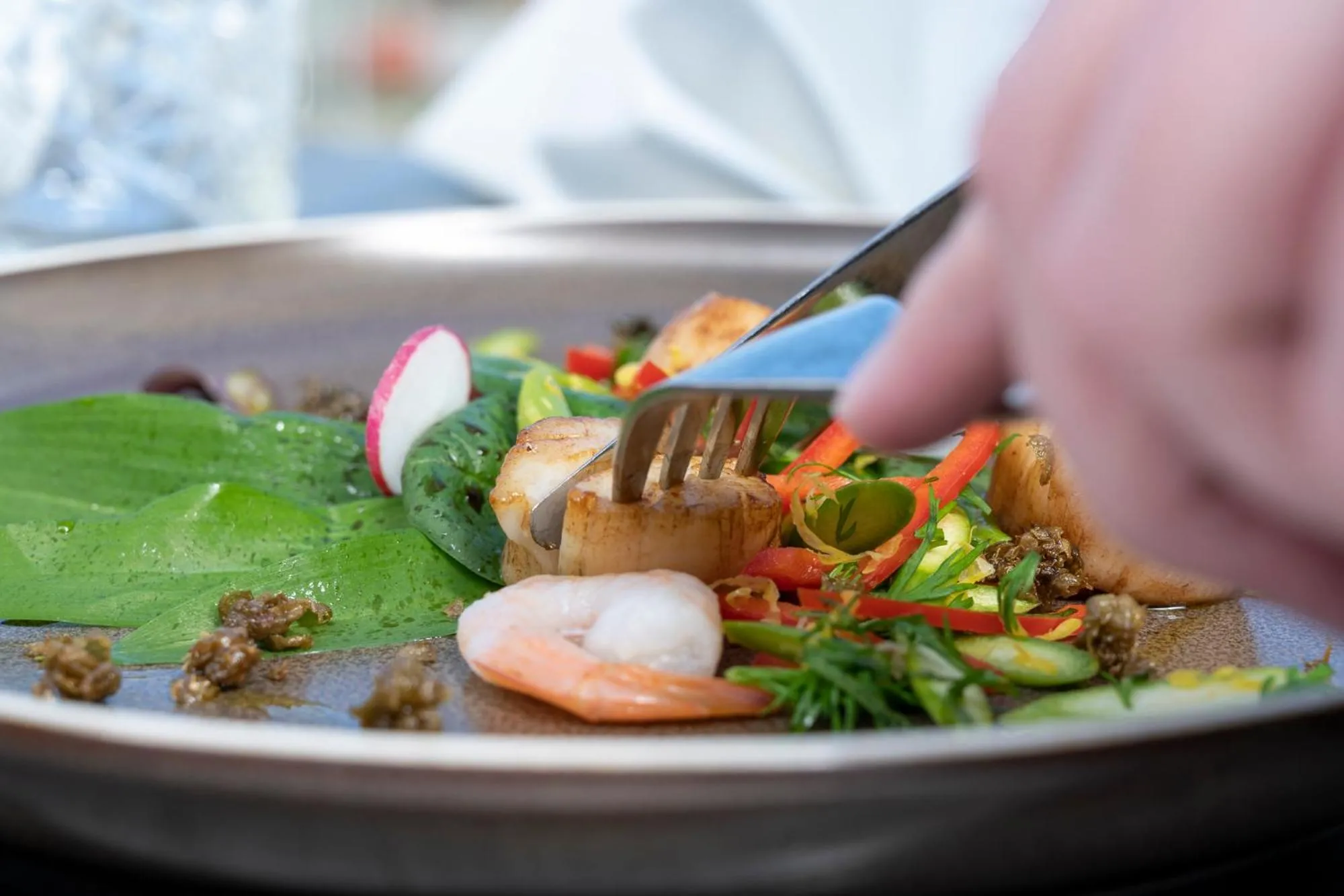 Restaurant/places to eat in Hotel Friheden