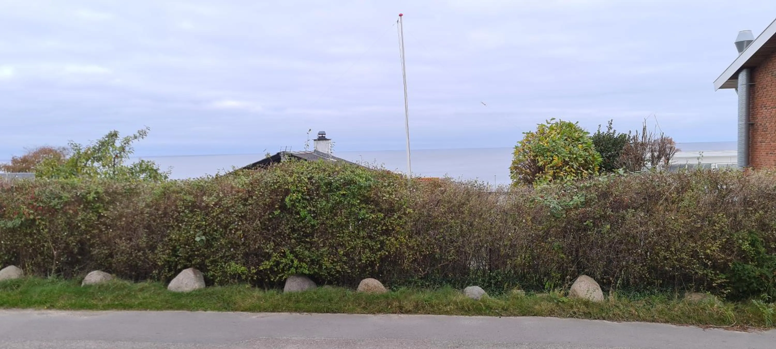 Natural landscape in Hotel Friheden