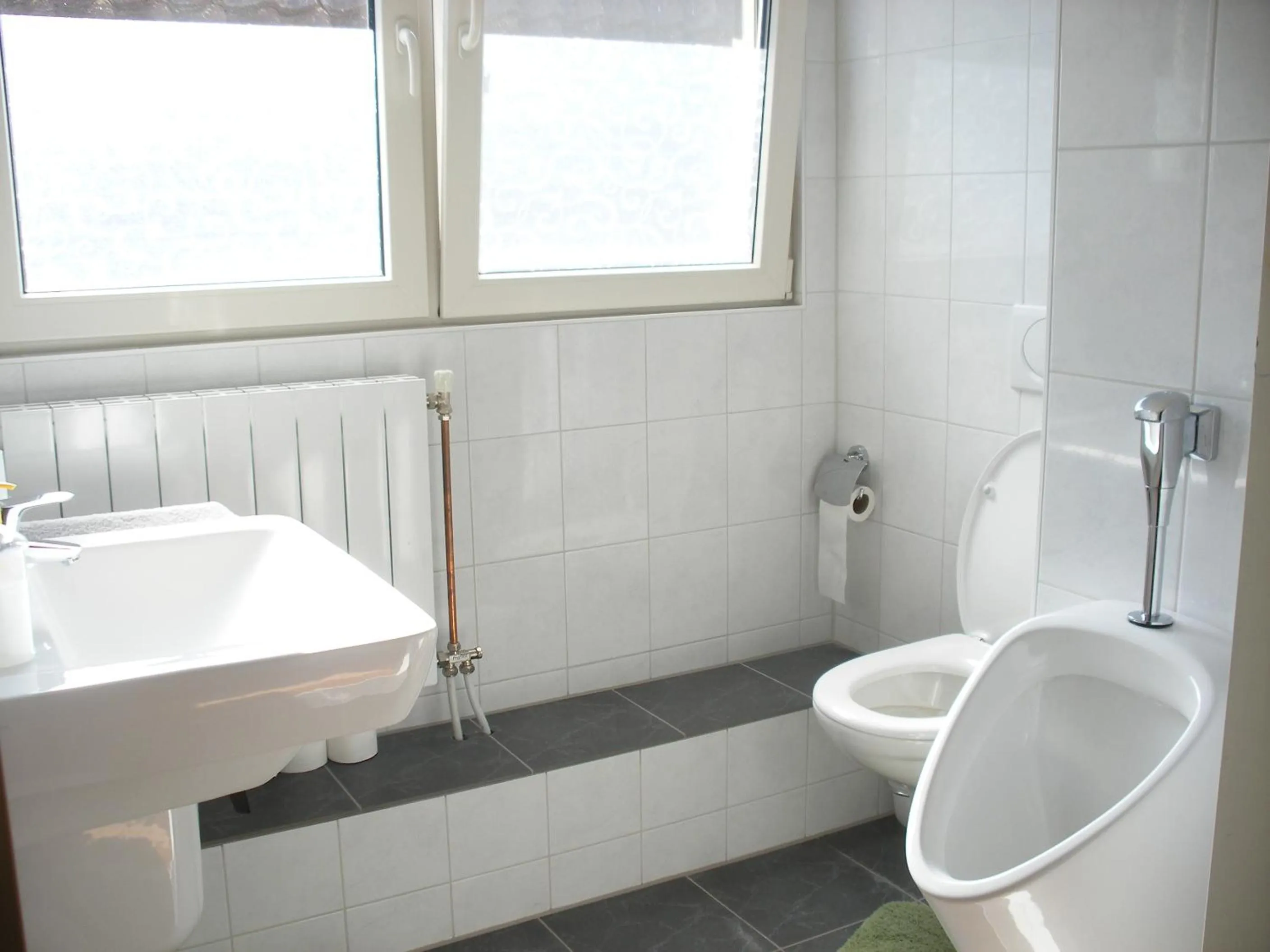 Toilet in B&B-Edam