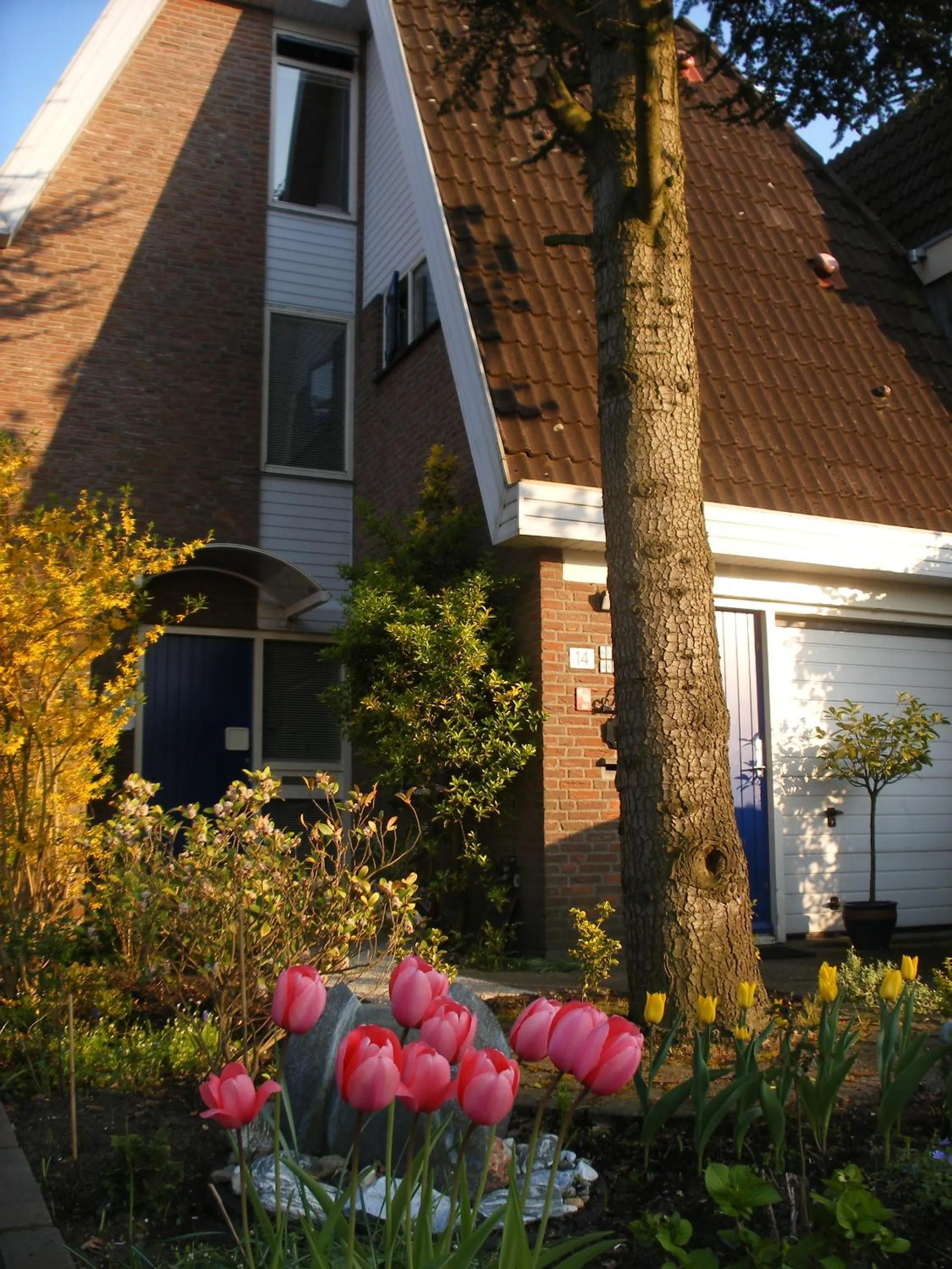 Property building in B&B-Edam