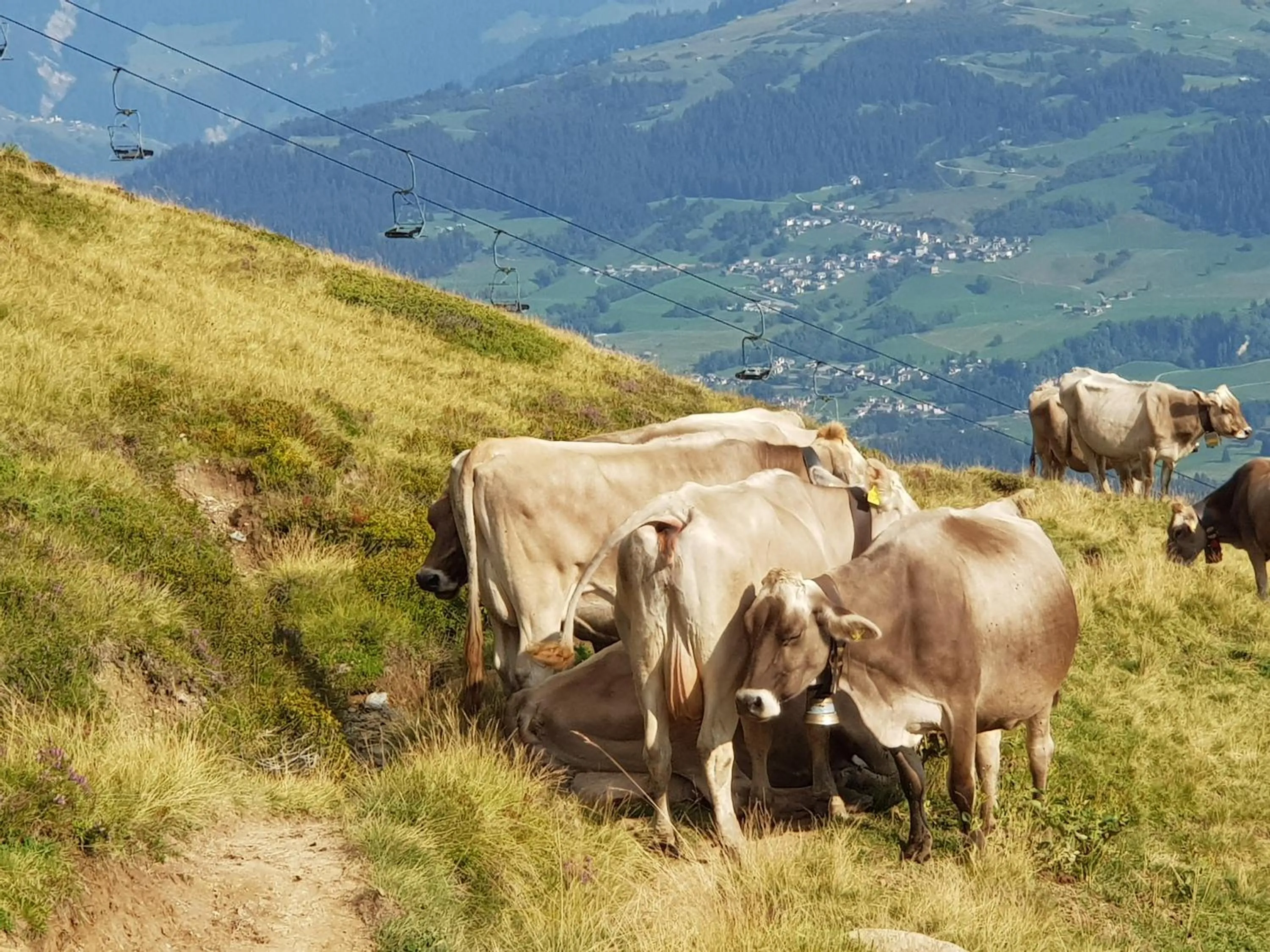 Natural landscape in Boutique-Hotel Vincenz
