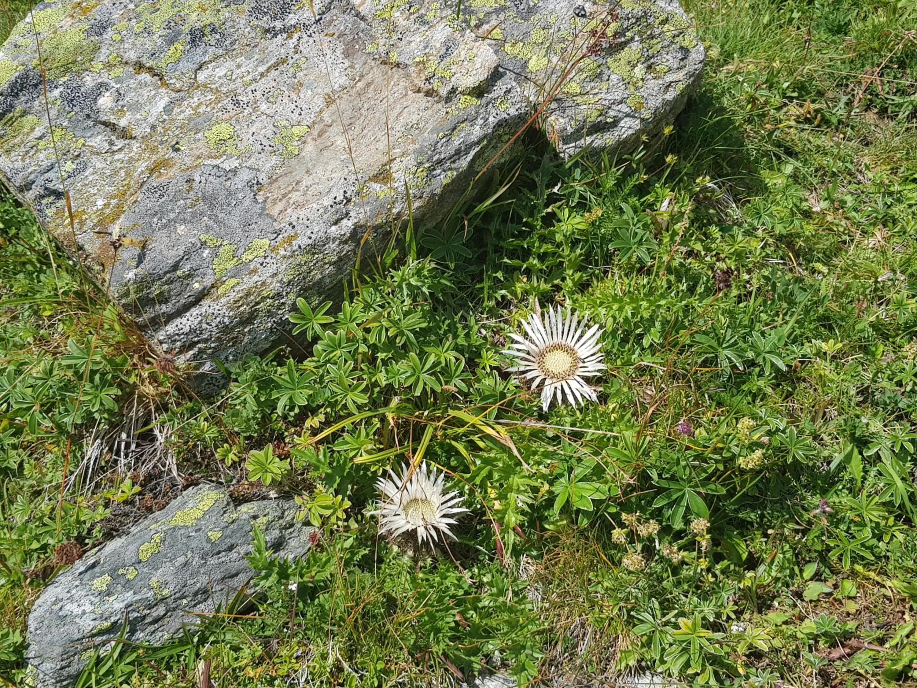 Hiking in Boutique-Hotel Vincenz