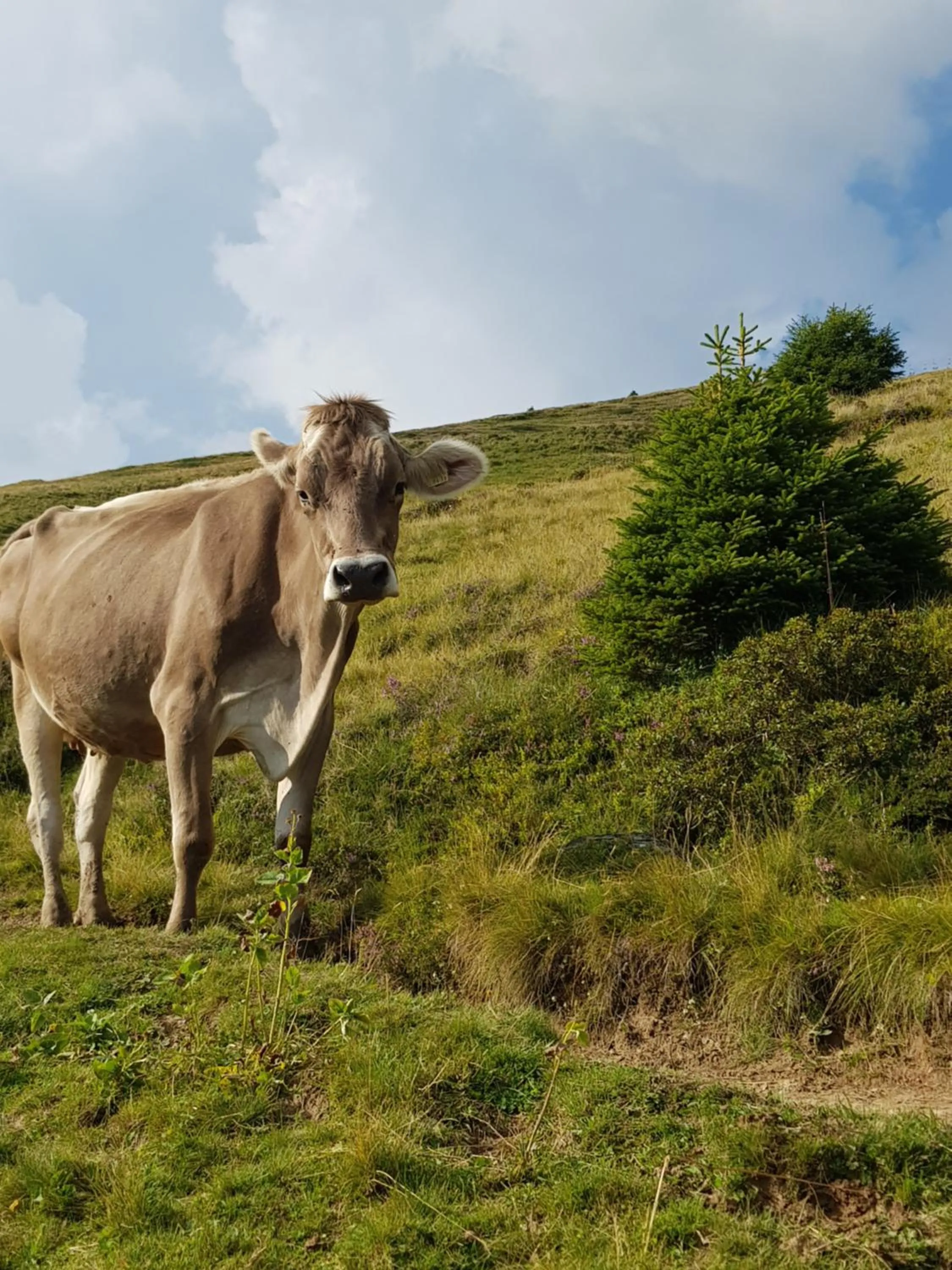 Summer in Boutique-Hotel Vincenz