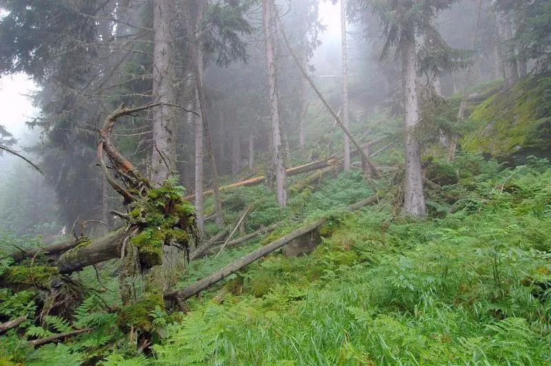 Nearby landmark in Boutique-Hotel Vincenz