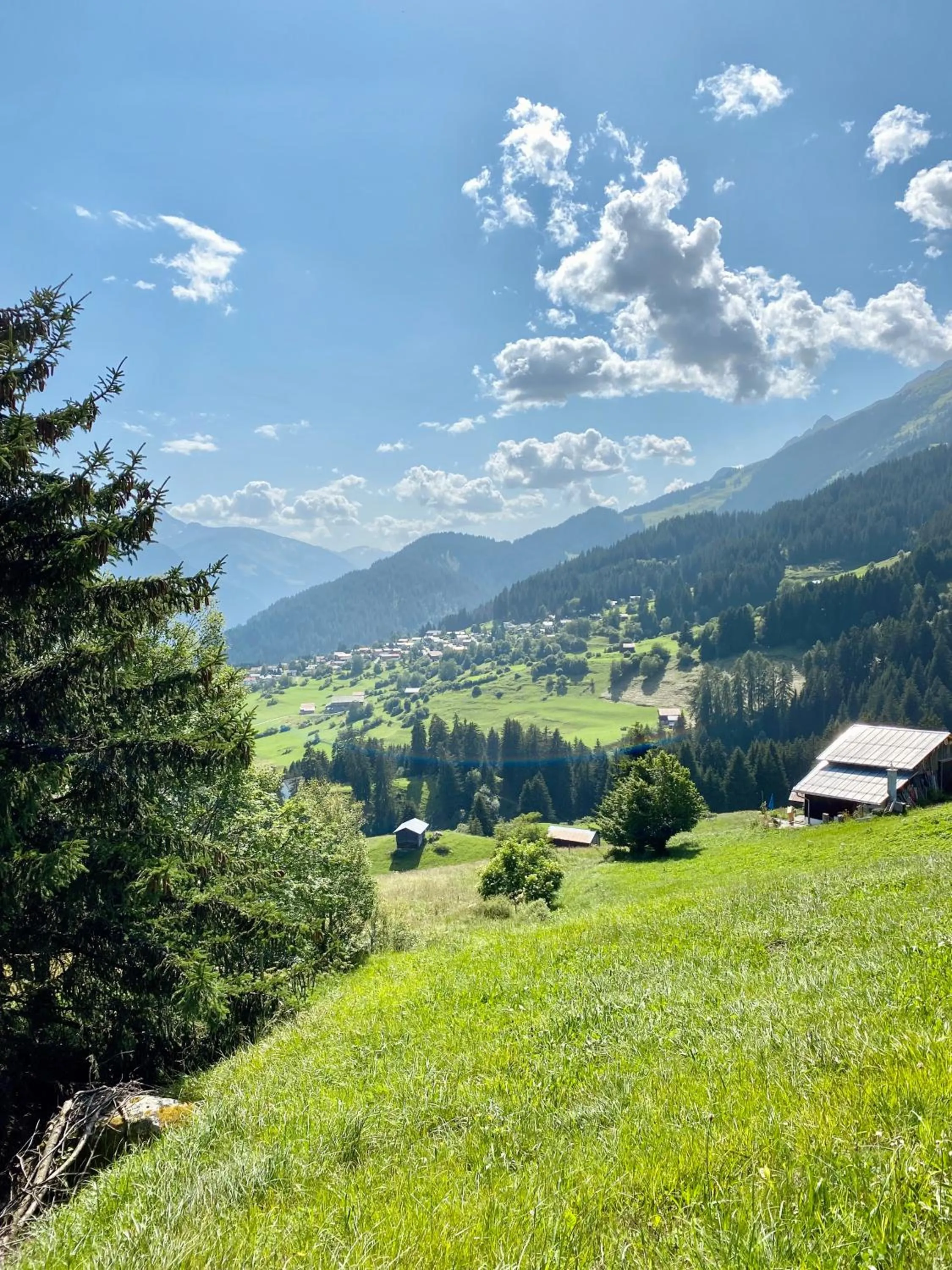 Natural landscape in Boutique-Hotel Vincenz