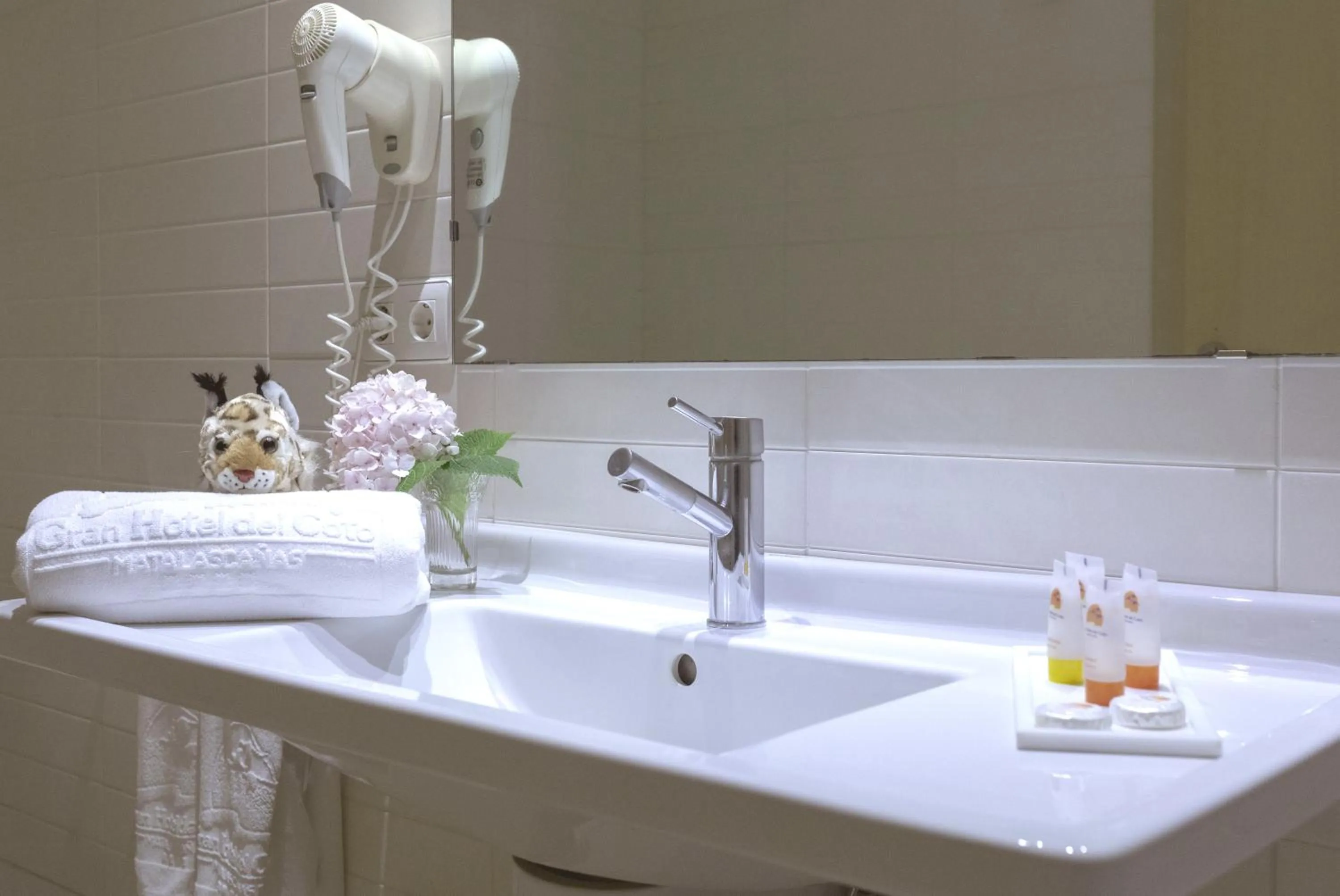Bathroom in Gran Hotel del Coto