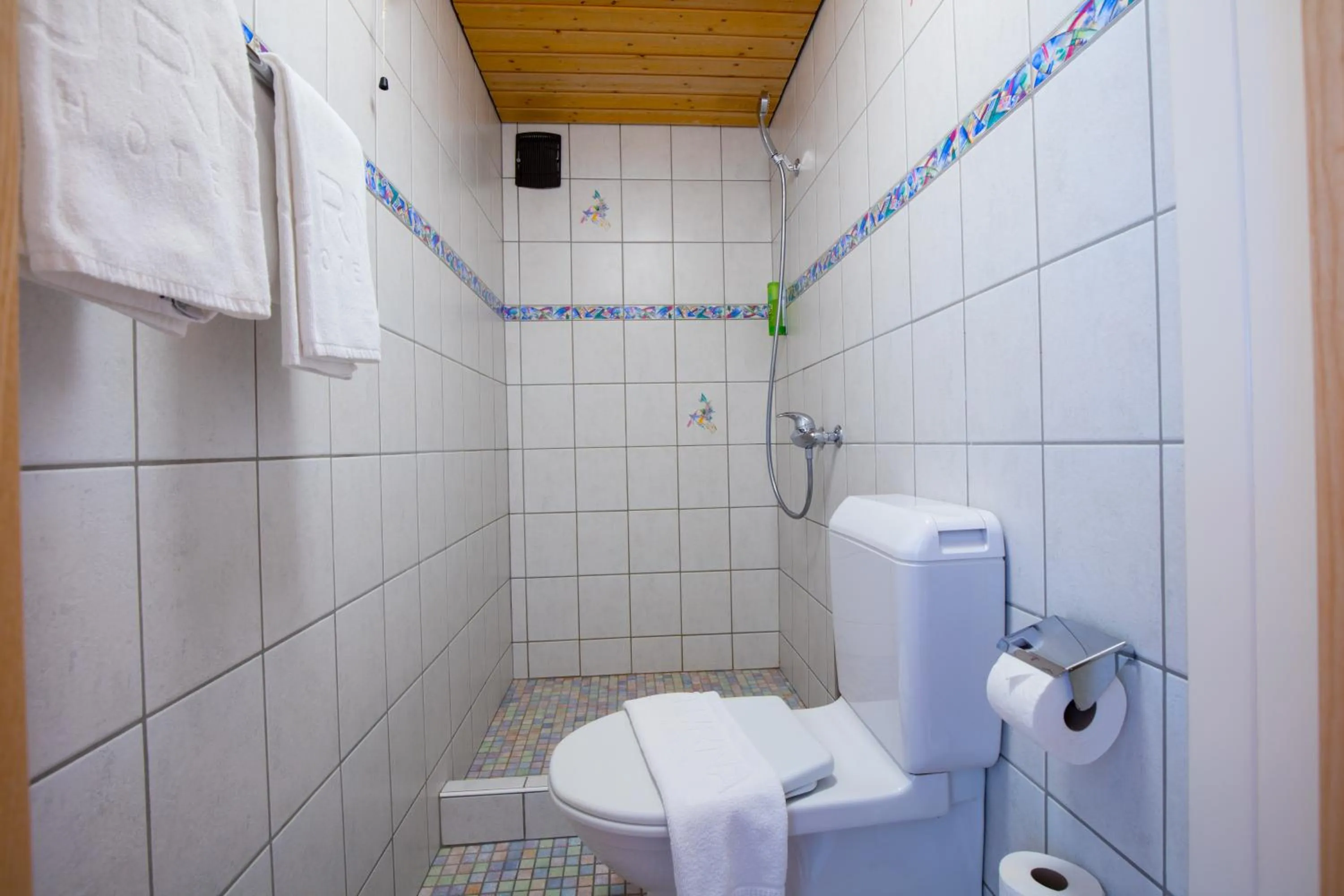 Bathroom in Hotel TURNA Malbun