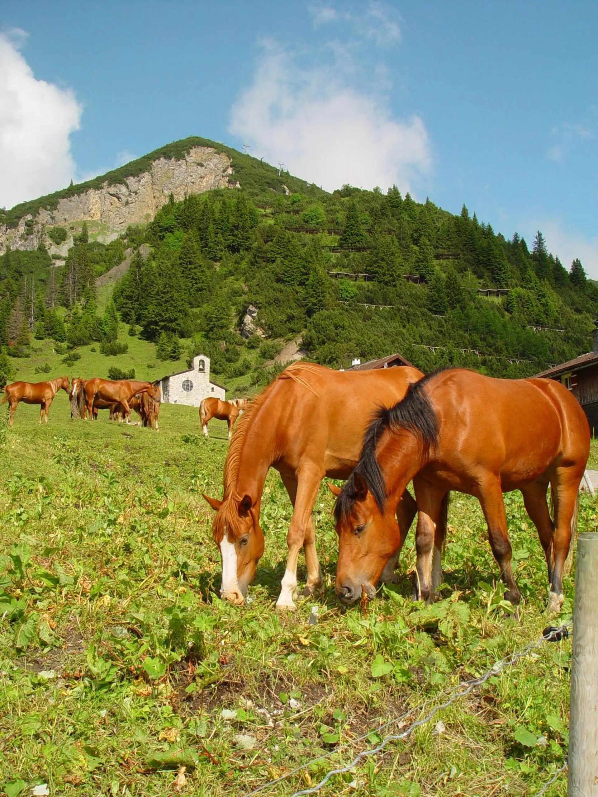 Summer in Hotel TURNA Malbun