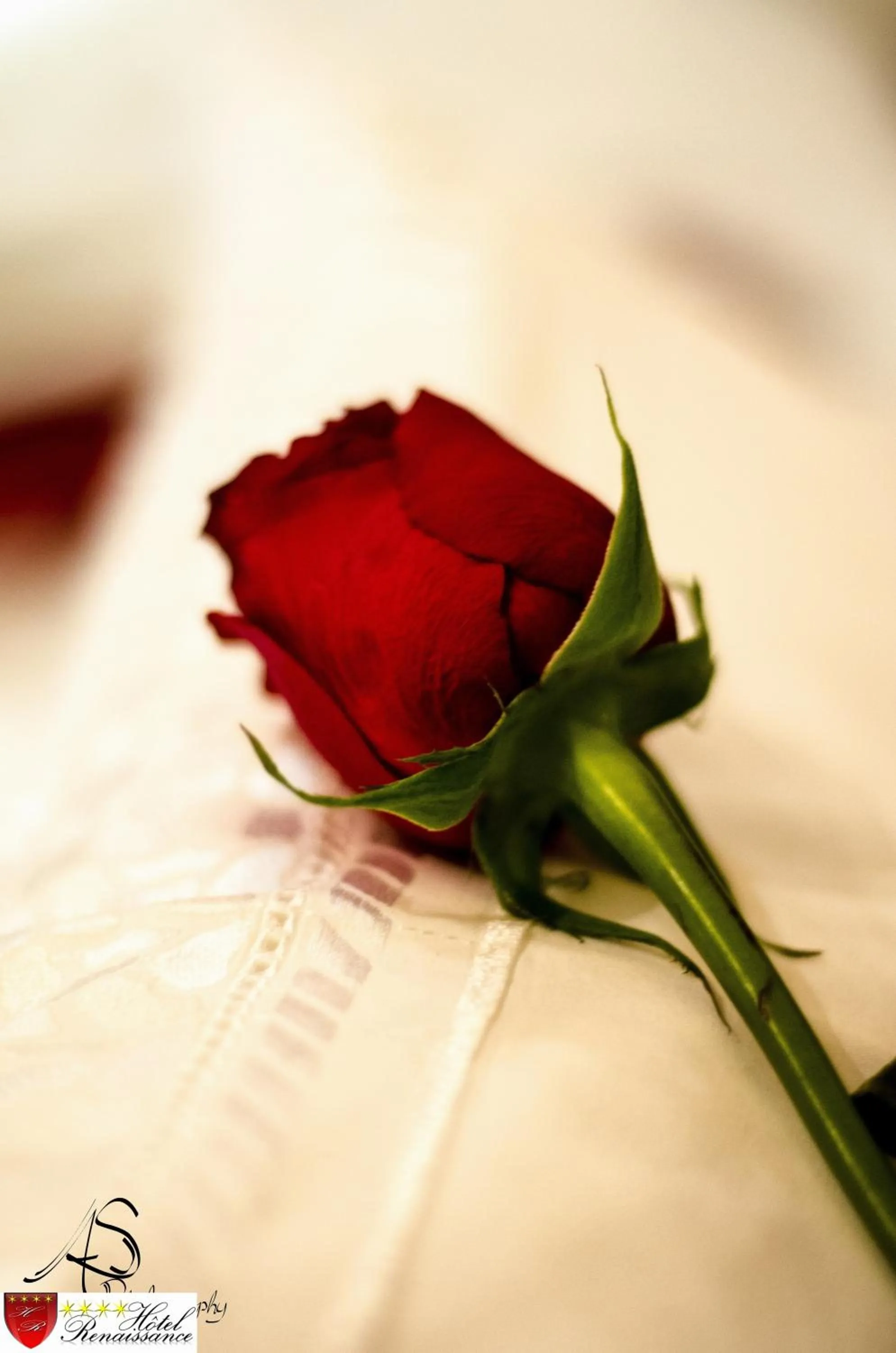 Decorative detail in Hôtel Renaissance