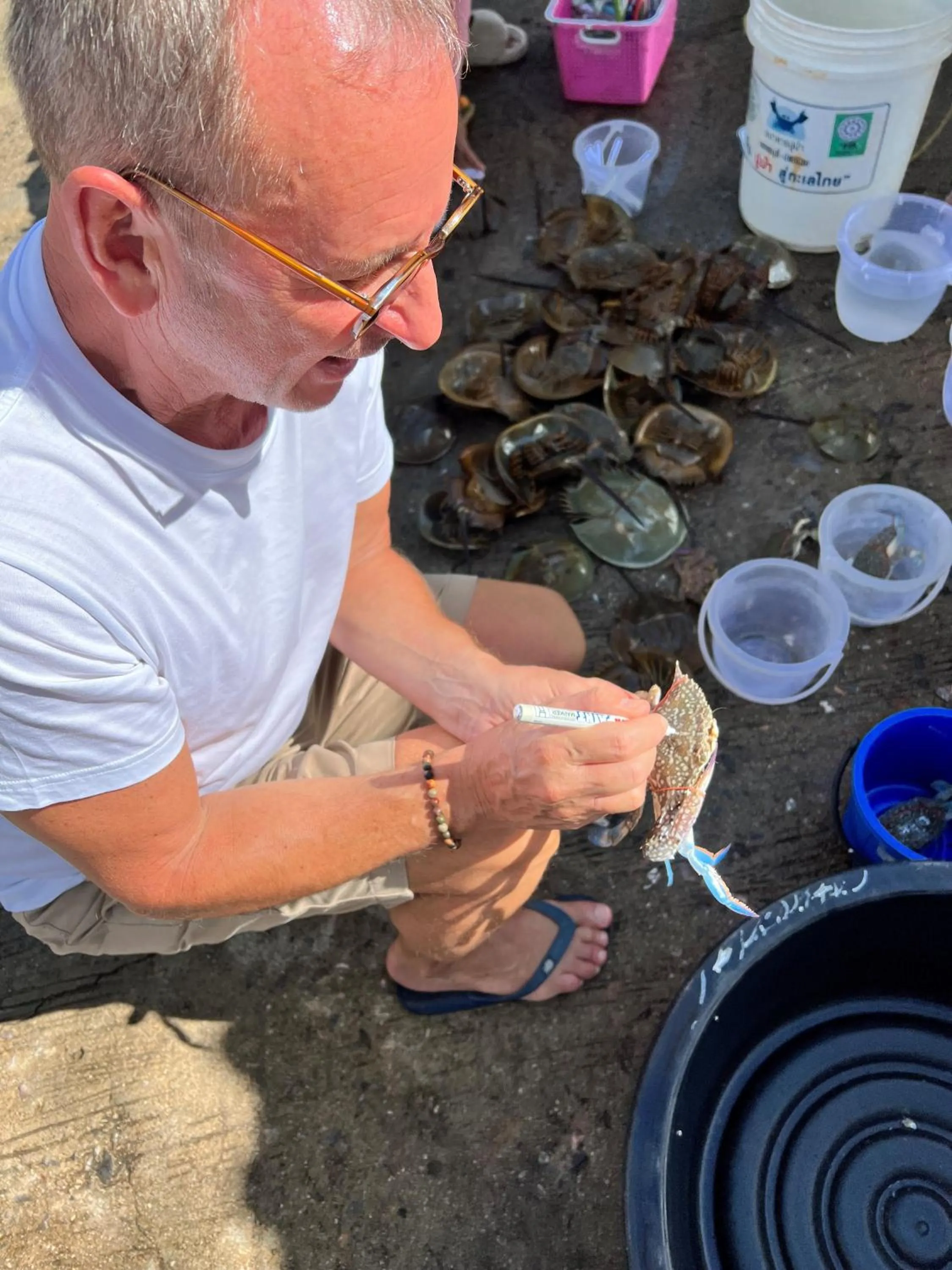 Nearby landmark in Loligo Resort Hua Hin