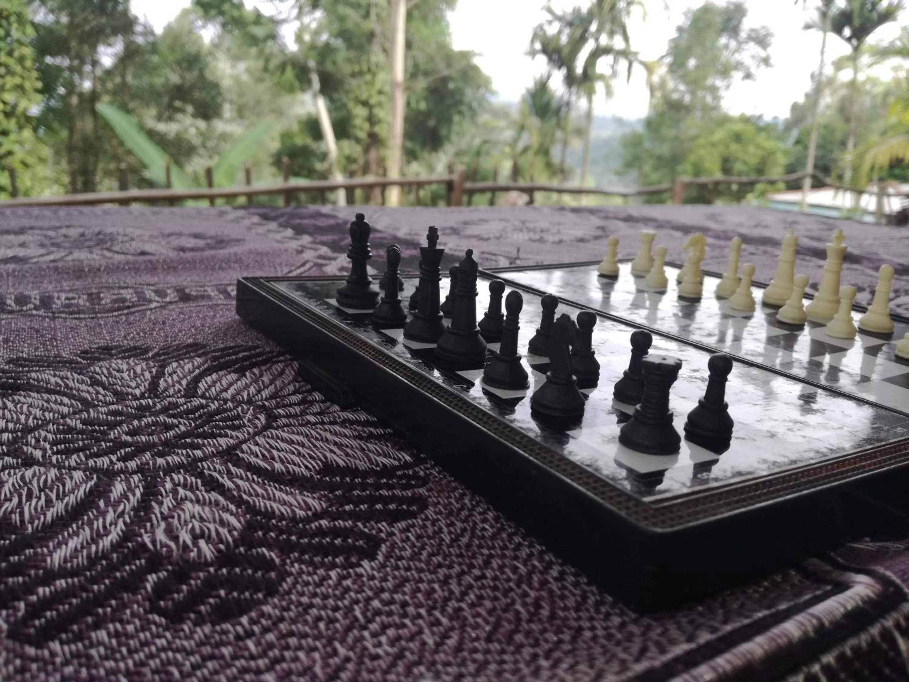 Activities in Ella Sunrise