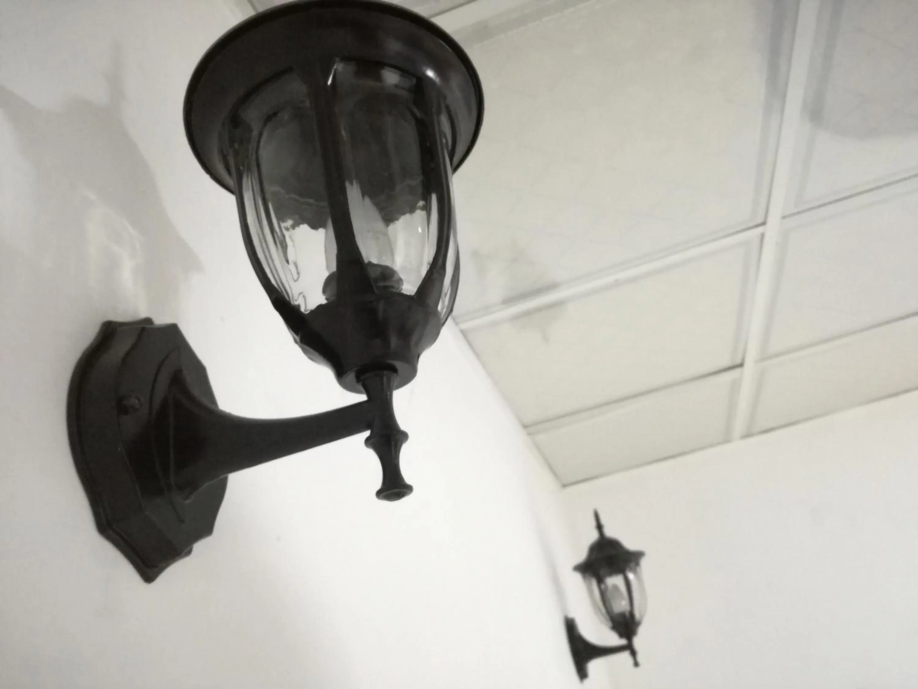 Logo/Certificate/Sign in Ella Sunrise