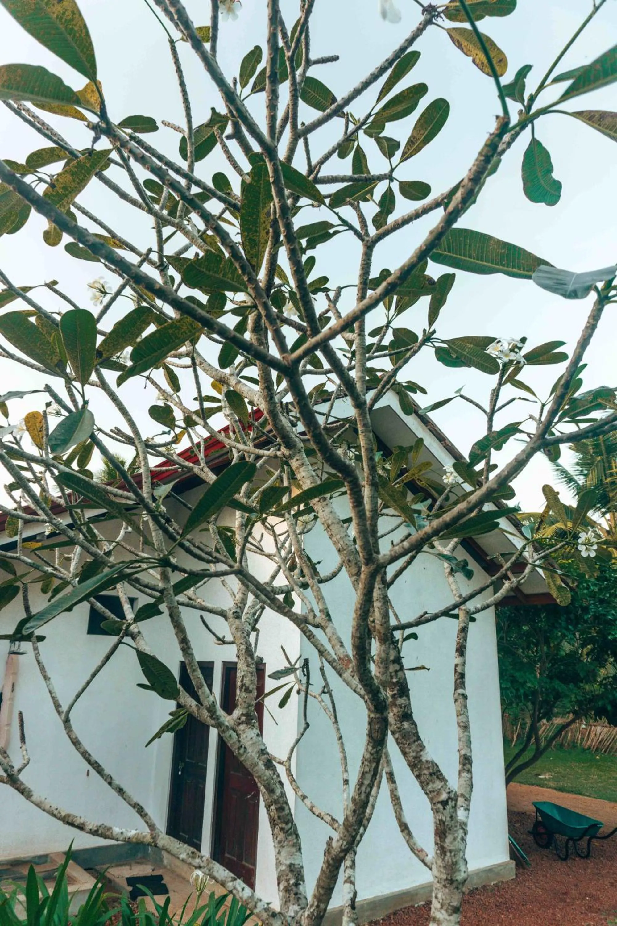 Decorative detail in Handun Villas