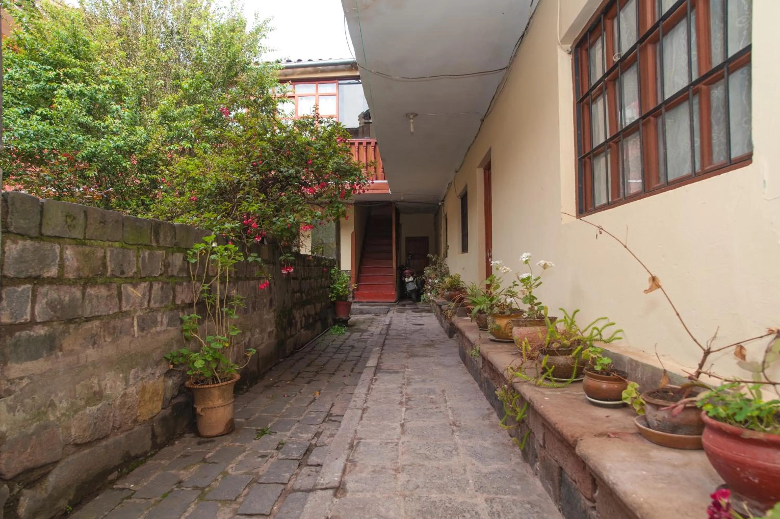 Garden in Casa Saphi