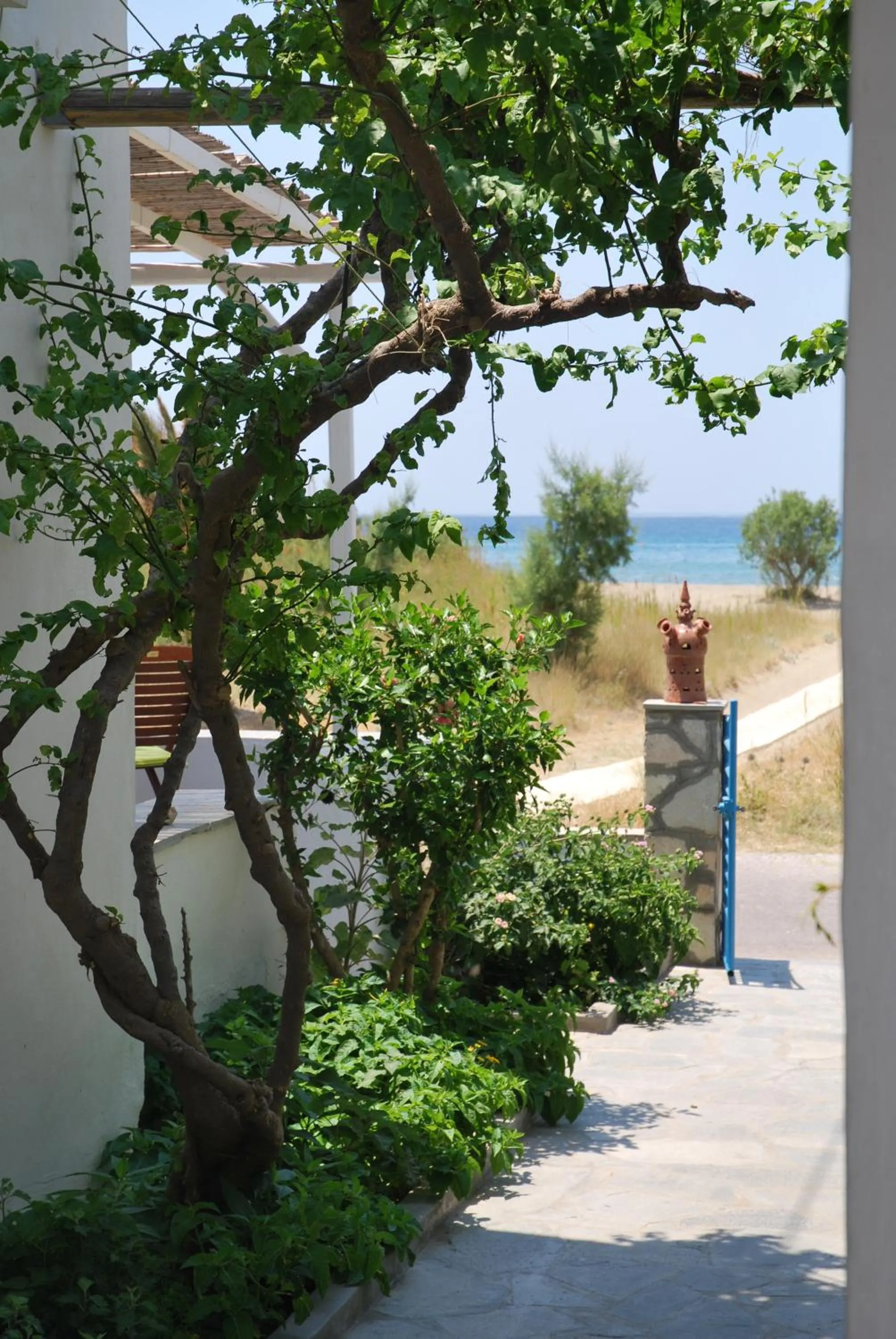 Garden in Afroditi Hotel