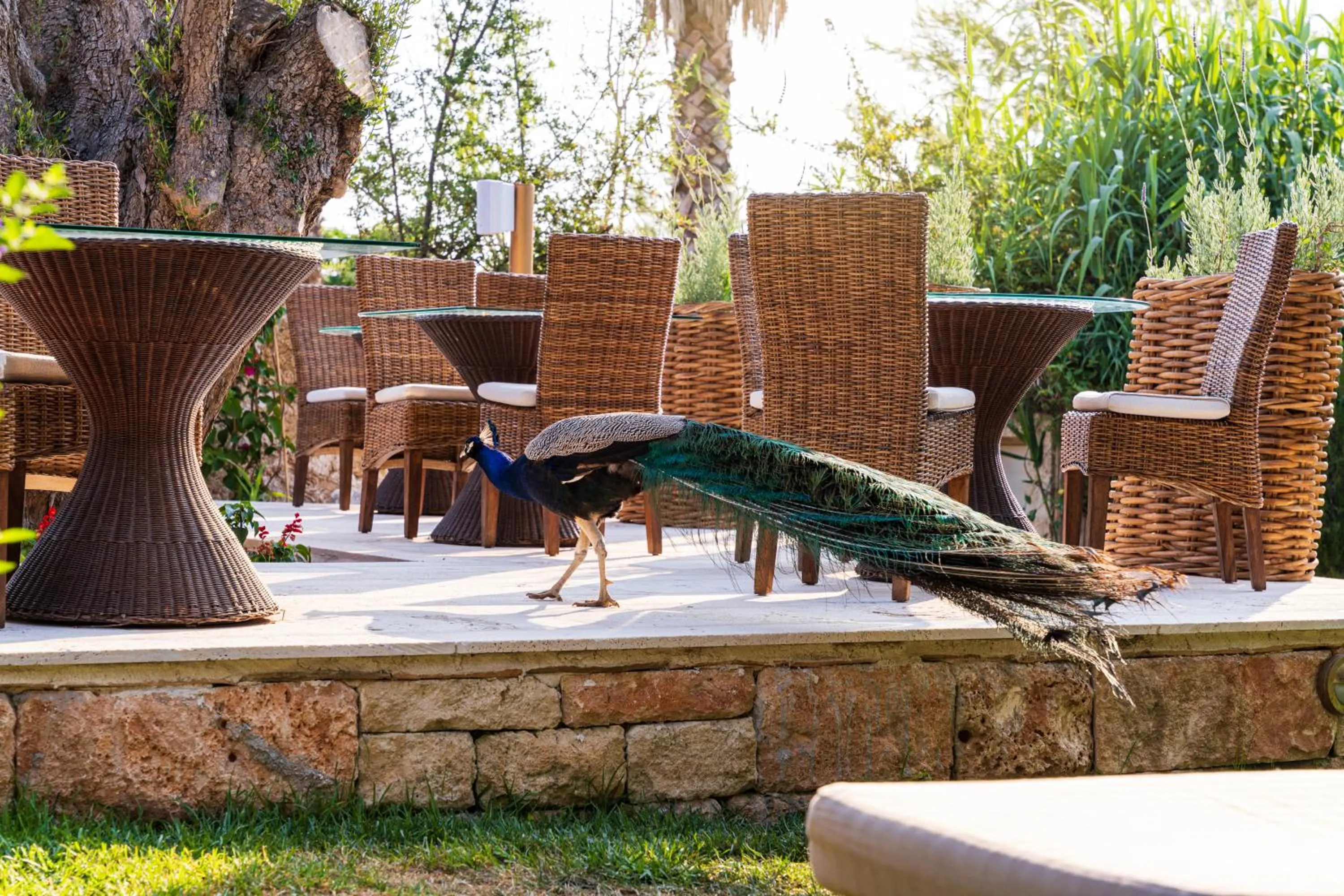 Lounge or bar in Achtis Hotel