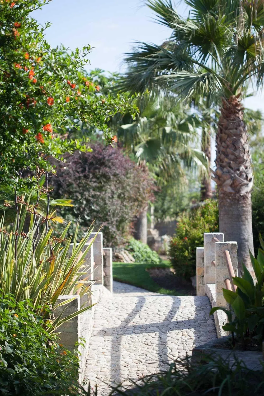 Garden in Achtis Hotel