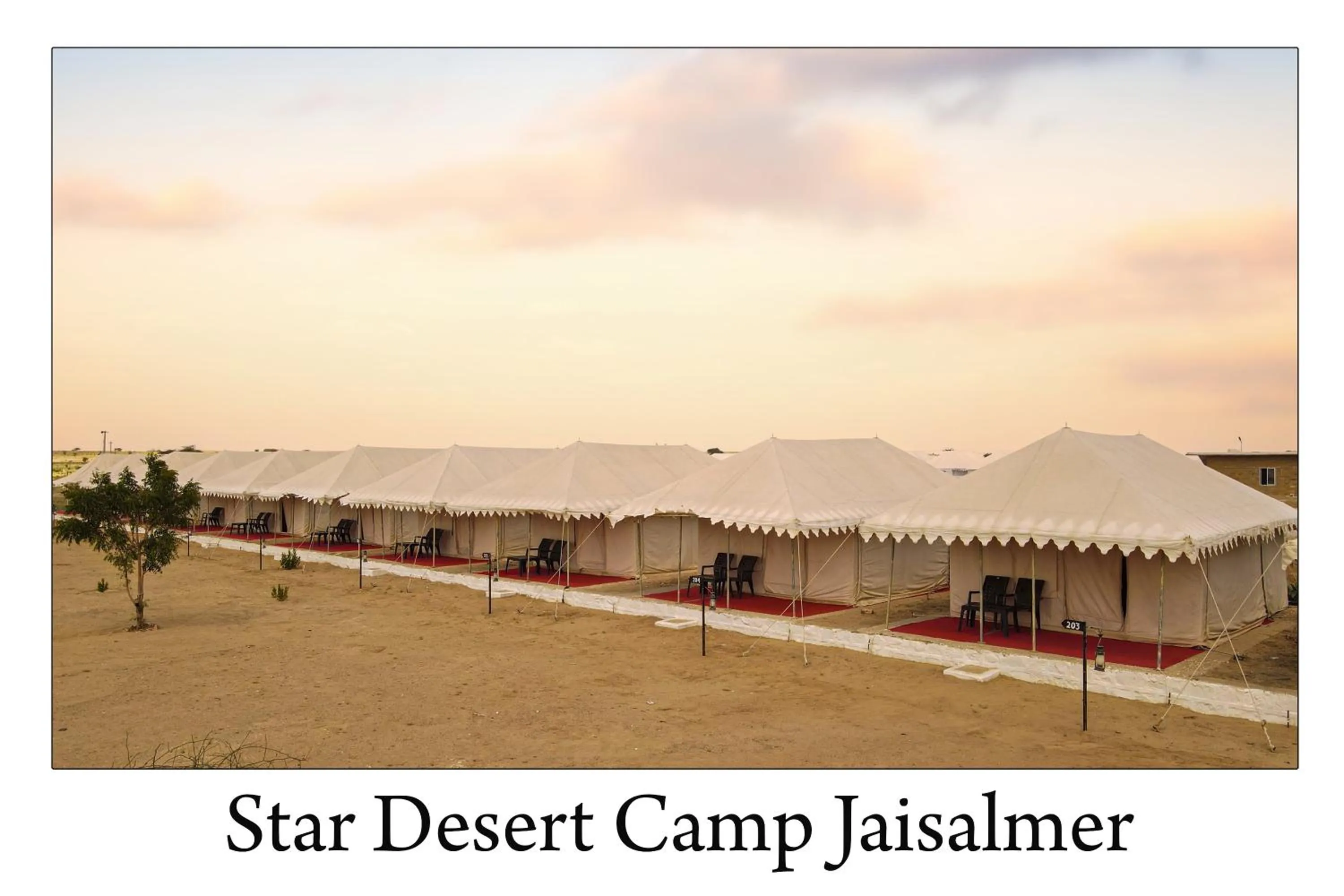 Restaurant/places to eat in Star Desert Camp Jaisalmer