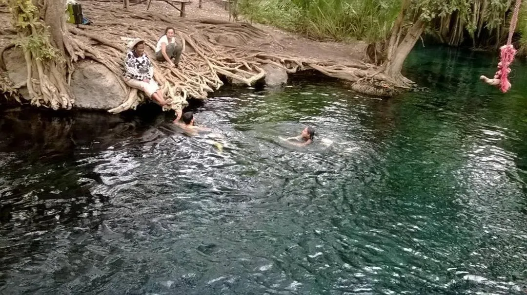 Natural landscape in Le Parlour