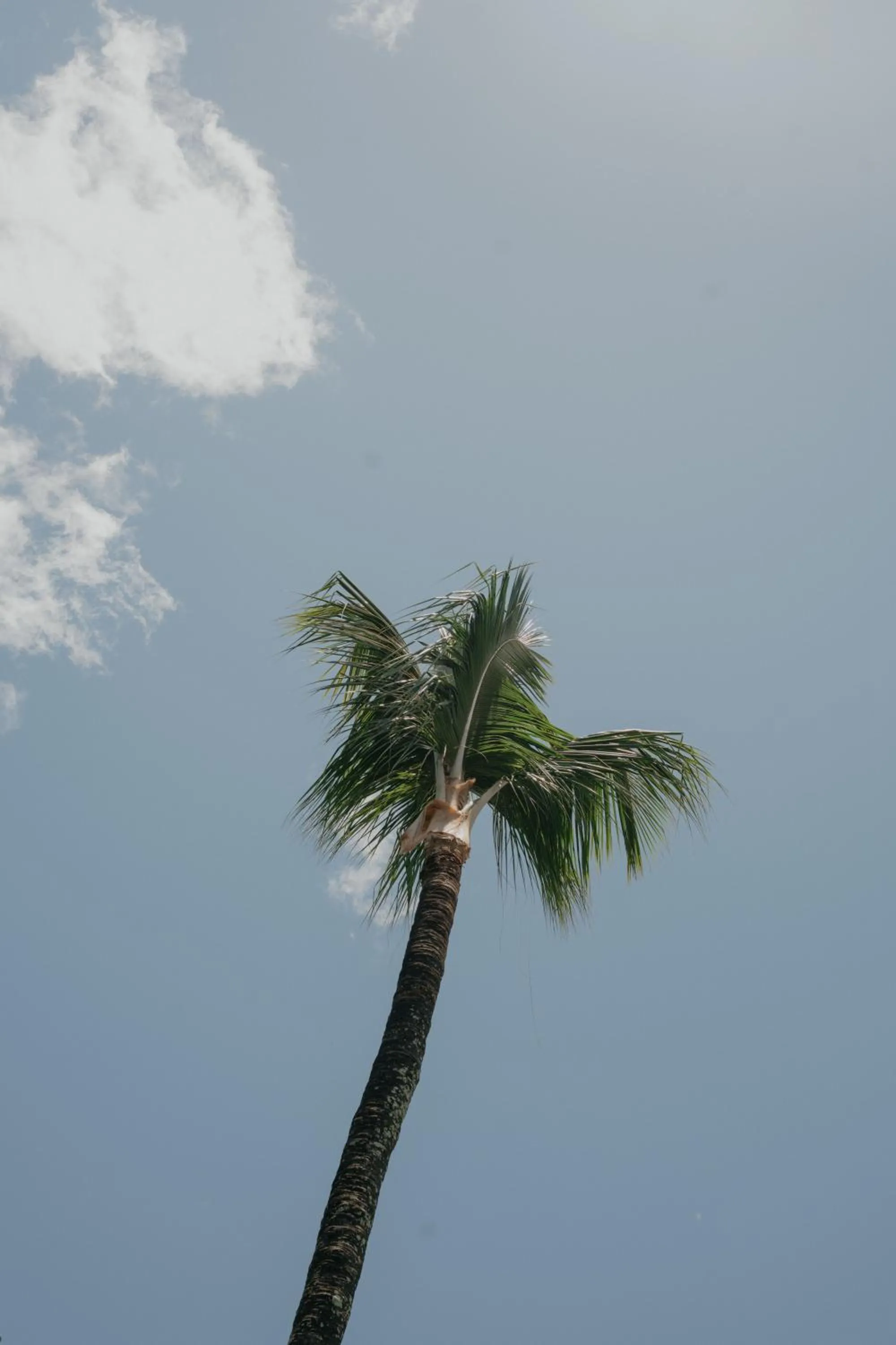 Natural landscape in Pousada Erva Doce