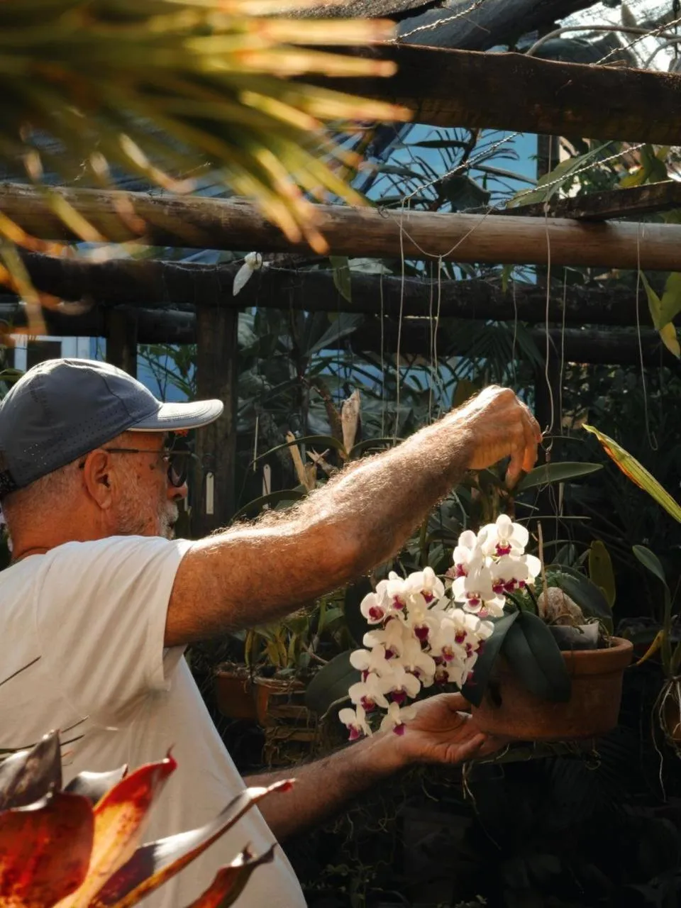 Garden view in Pousada Erva Doce