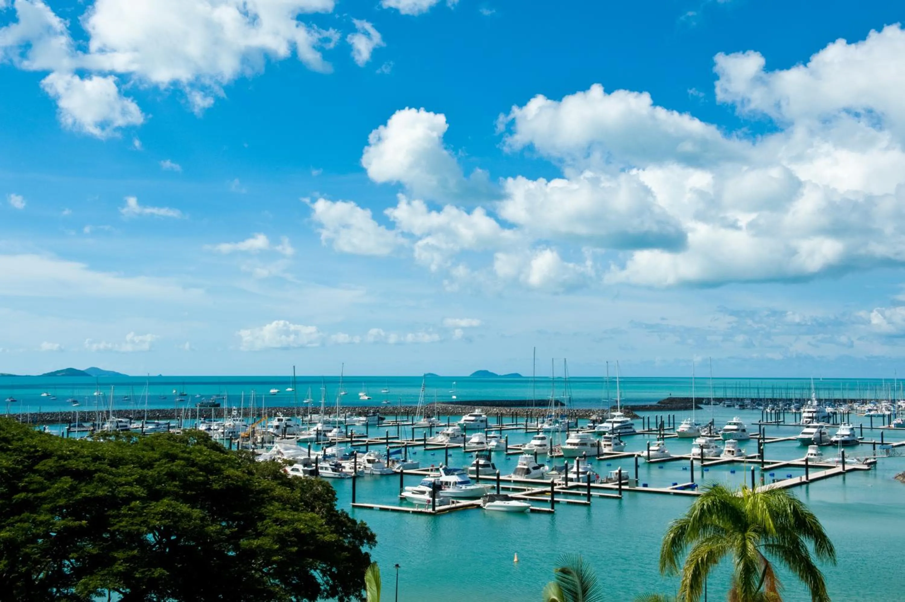 Natural landscape in Shingley Beach Resort - Whitsundays