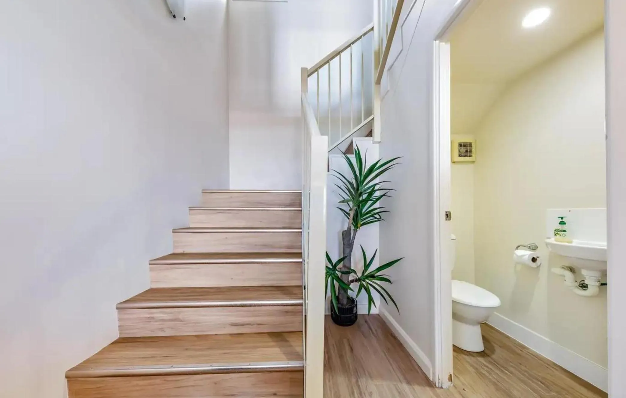 Toilet in Shingley Beach Resort - Whitsundays