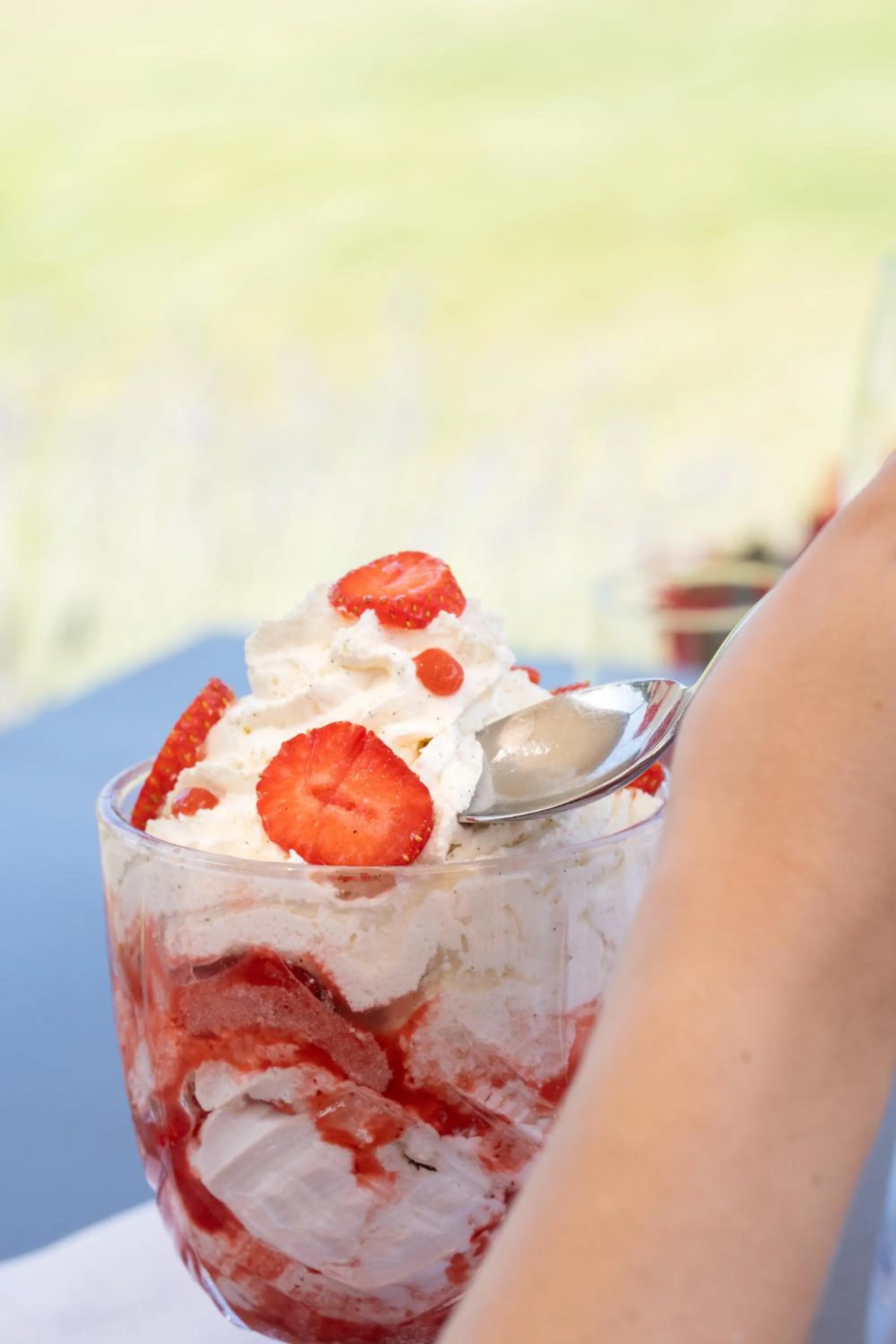 Restaurant/places to eat in L'Hôtel & Spa du Castellet