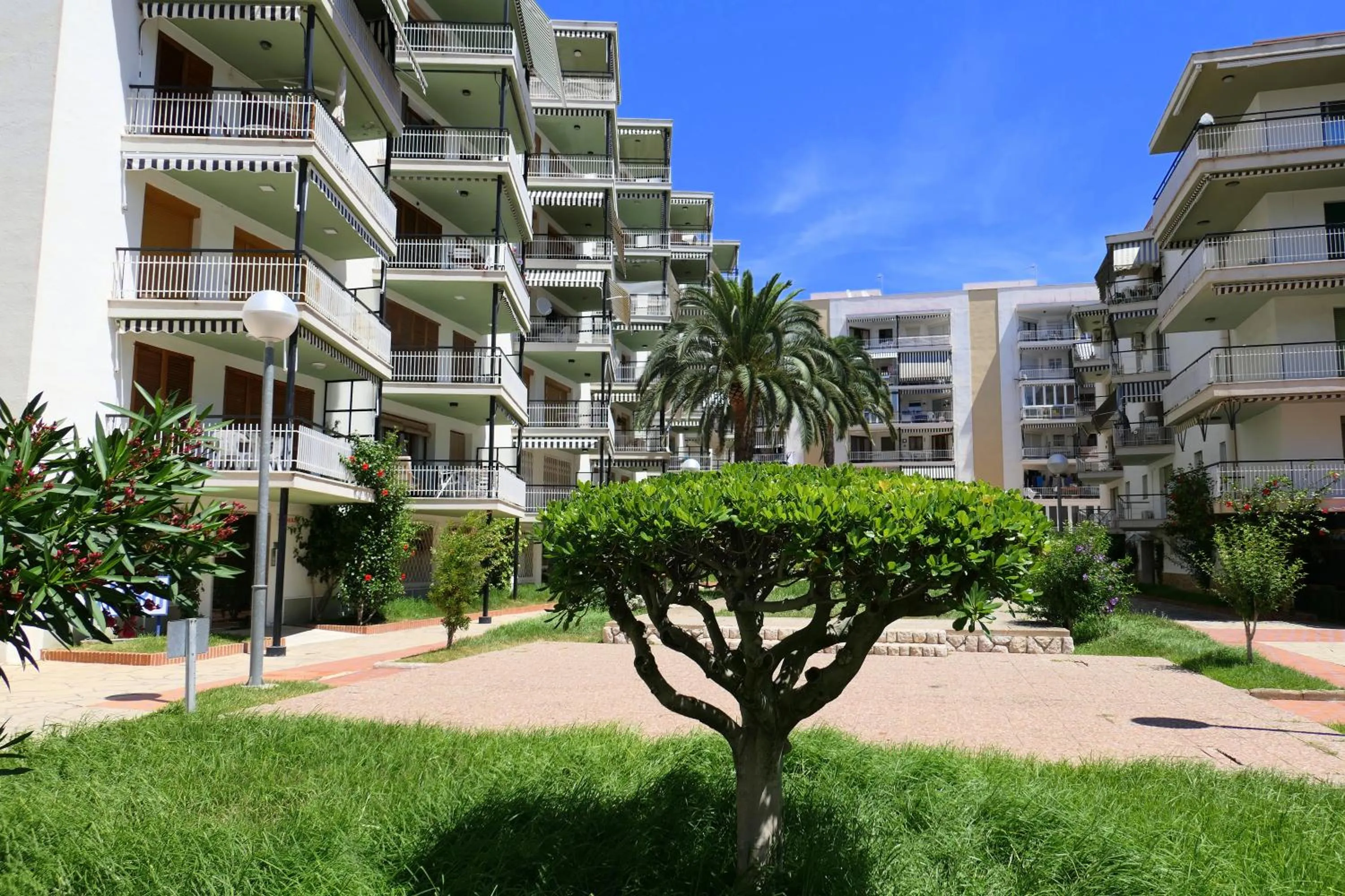 Garden in Rentalmar Aries Plus