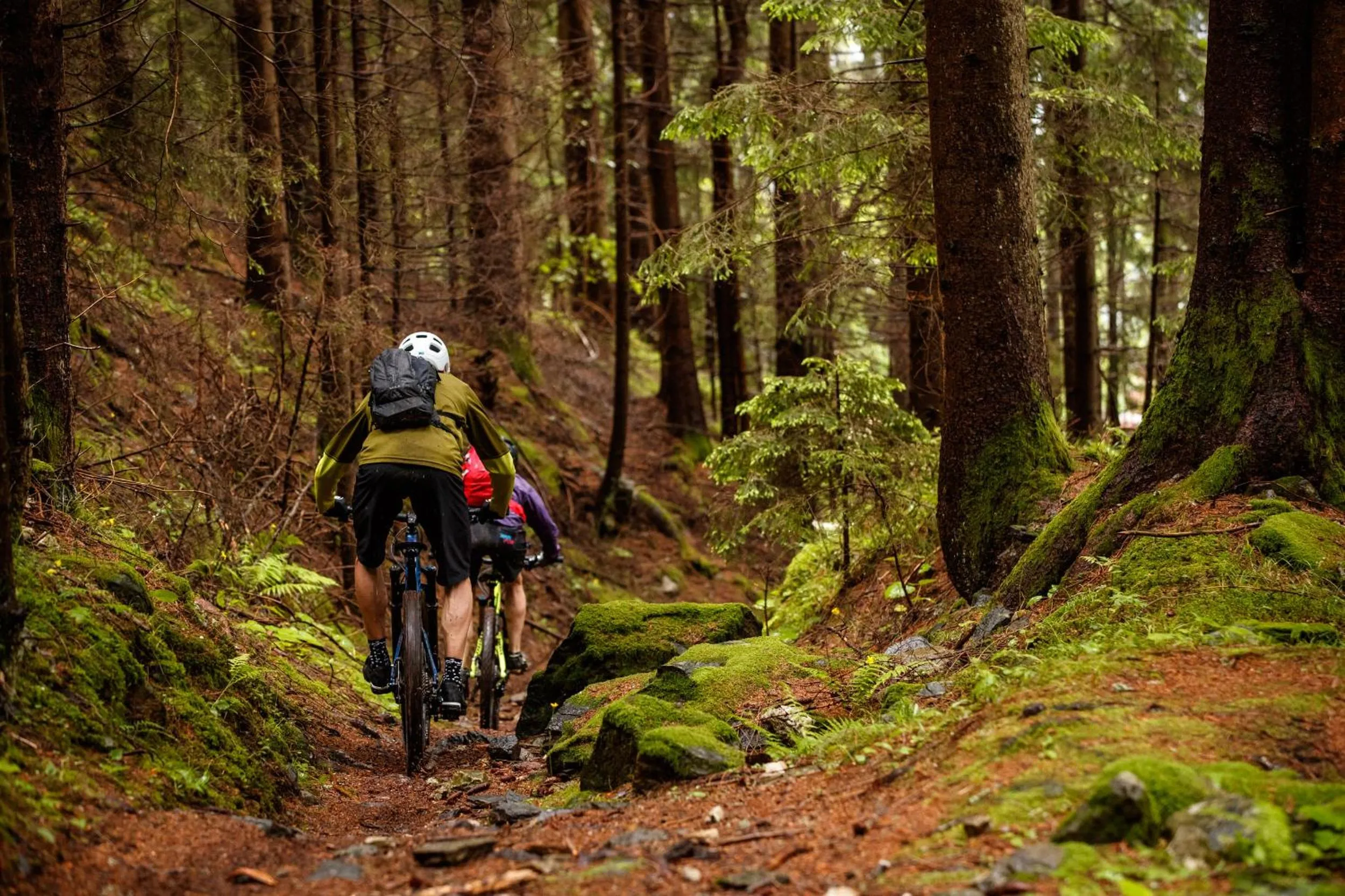 Activities in Landhotel Lindenhof