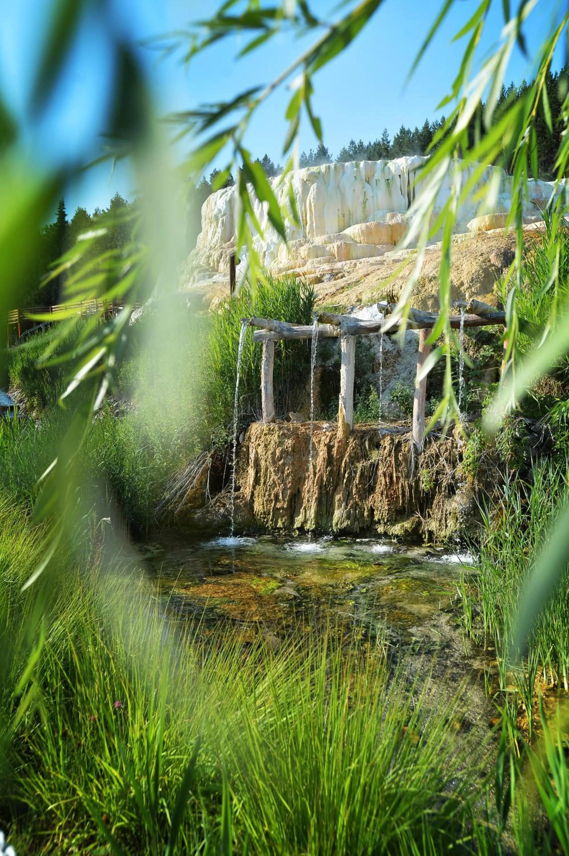 Natural landscape in Hunguest Saliris