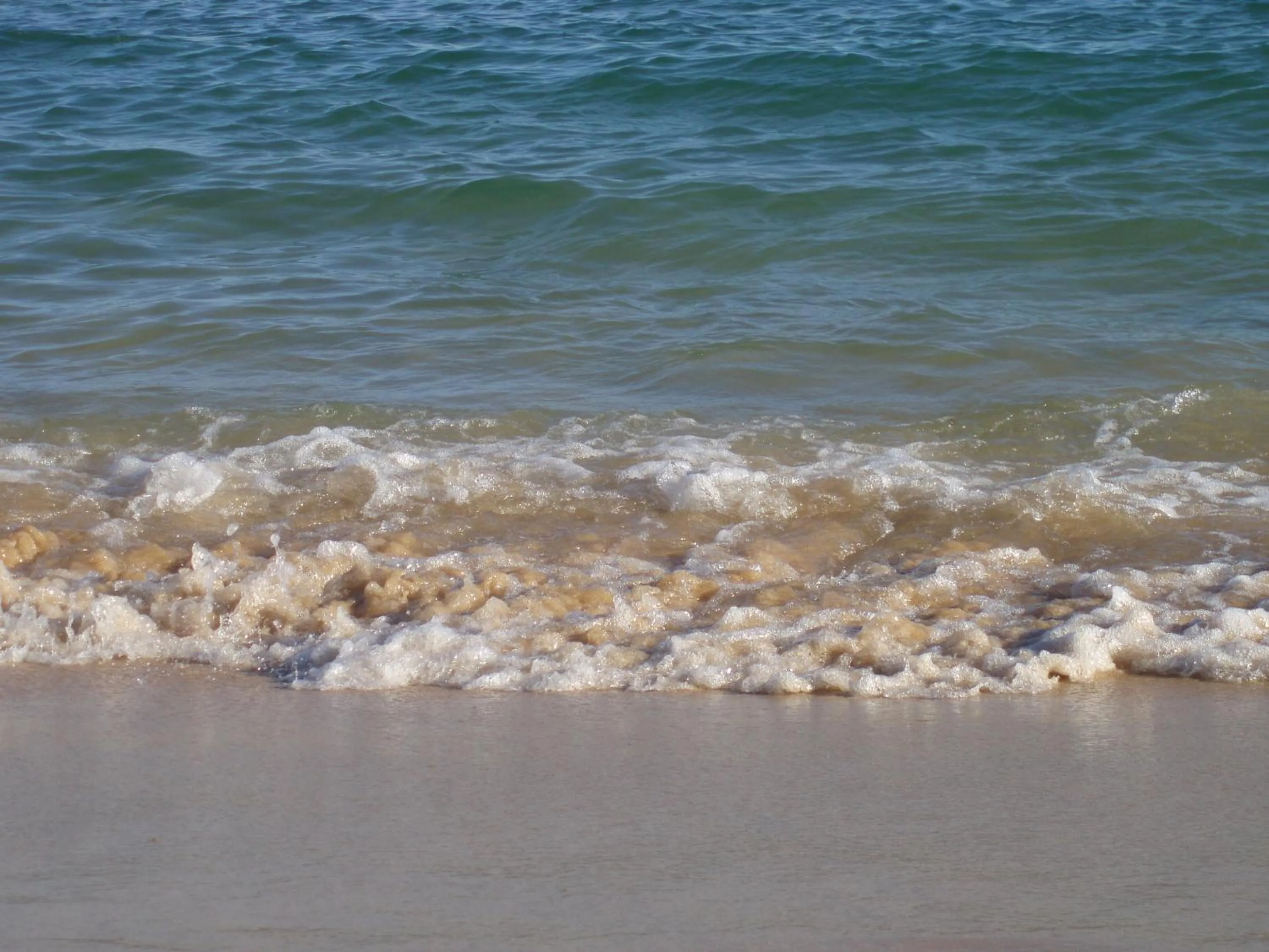 Area and facilities in Turiquintas